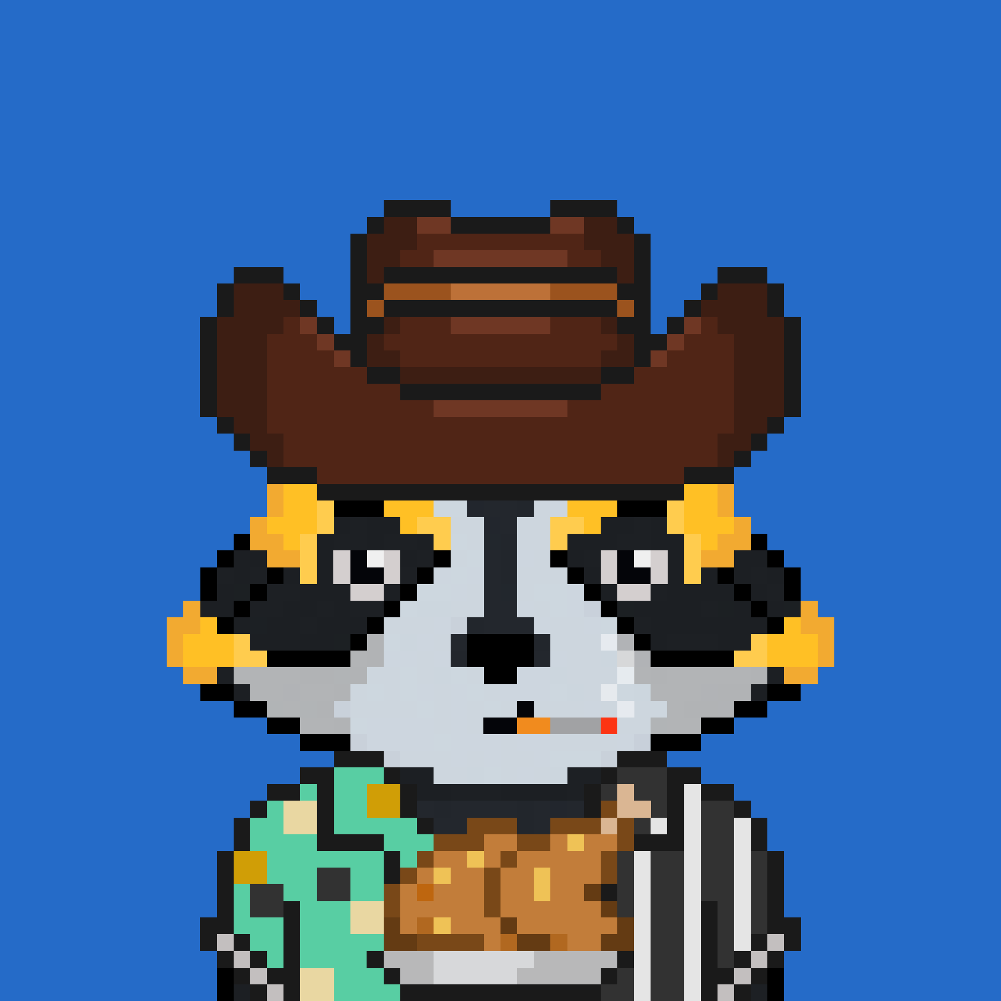 Pixel Raccoon #685 NFT on Algorand