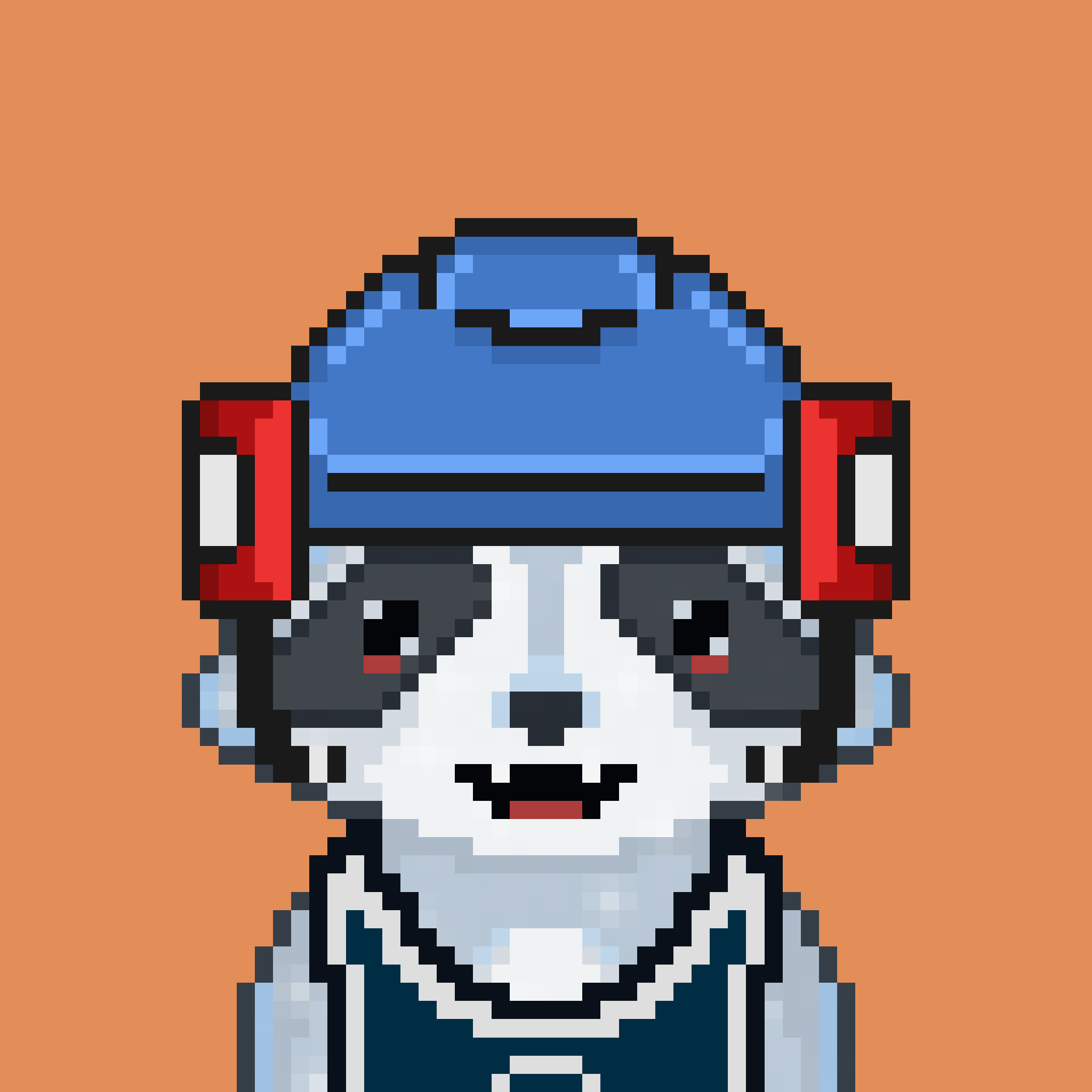 Pixel Raccoon #702 NFT on Algorand