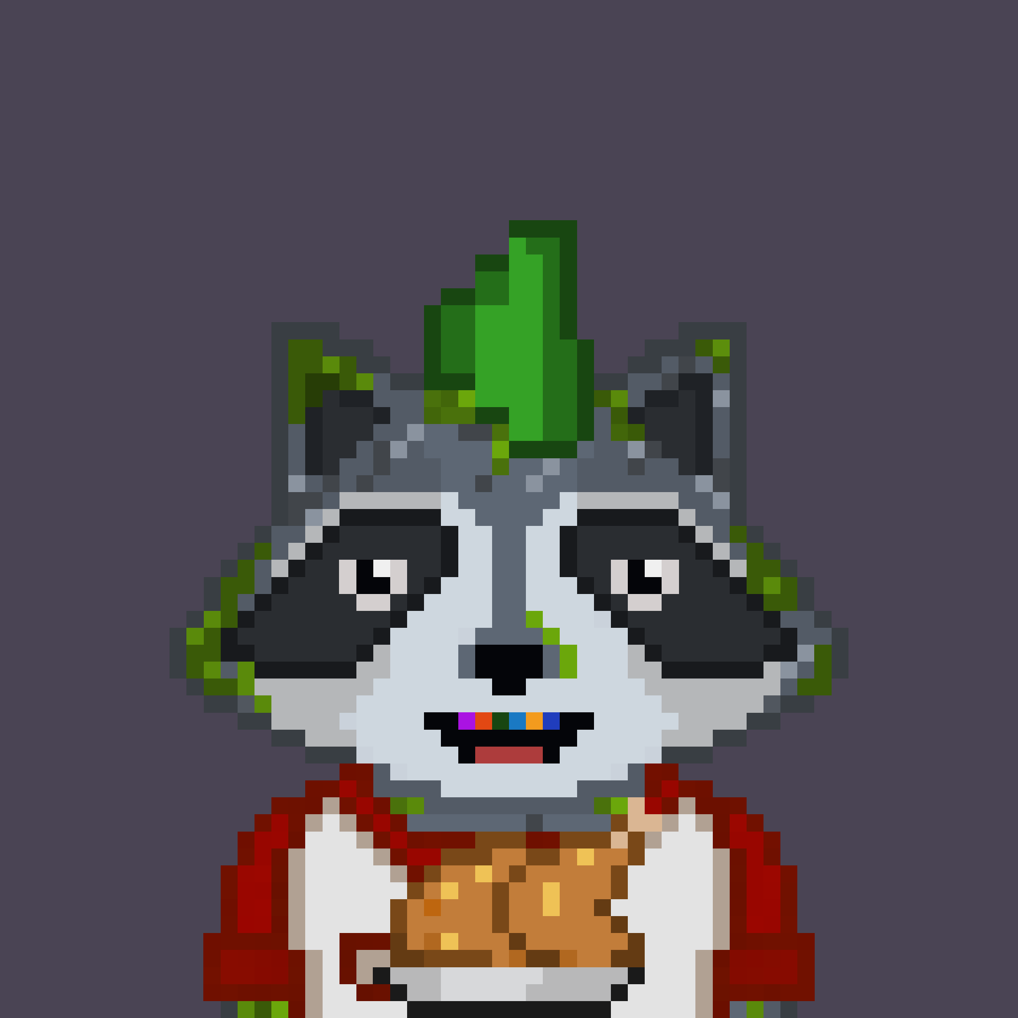 Pixel Raccoon #704 NFT on Algorand