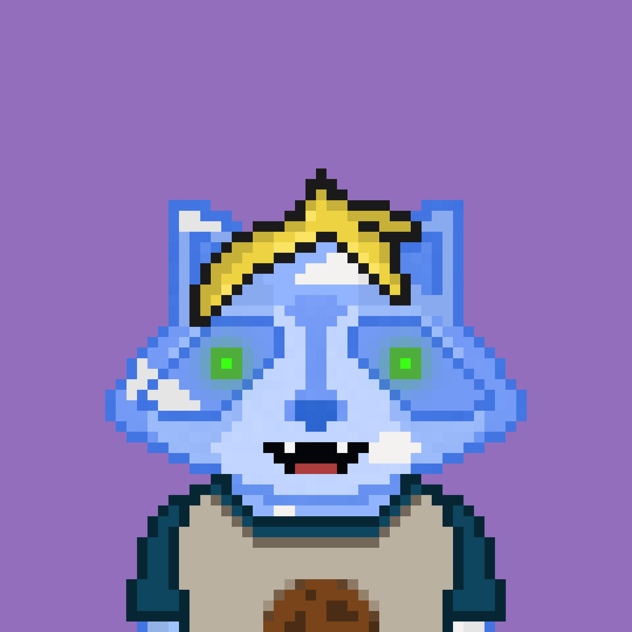 Pixel Raccoon #71 NFT on Algorand