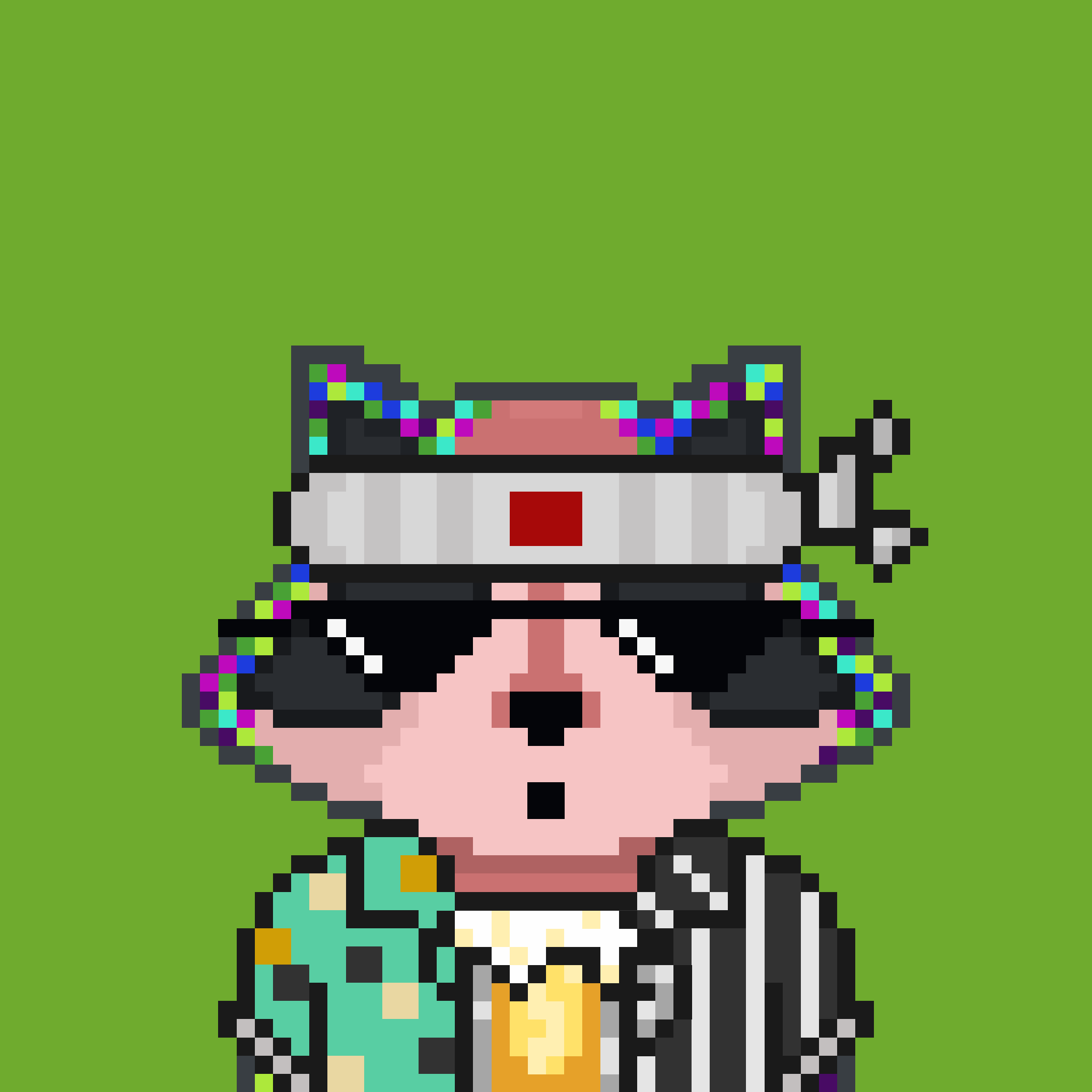 Pixel Raccoon #717 NFT on Algorand