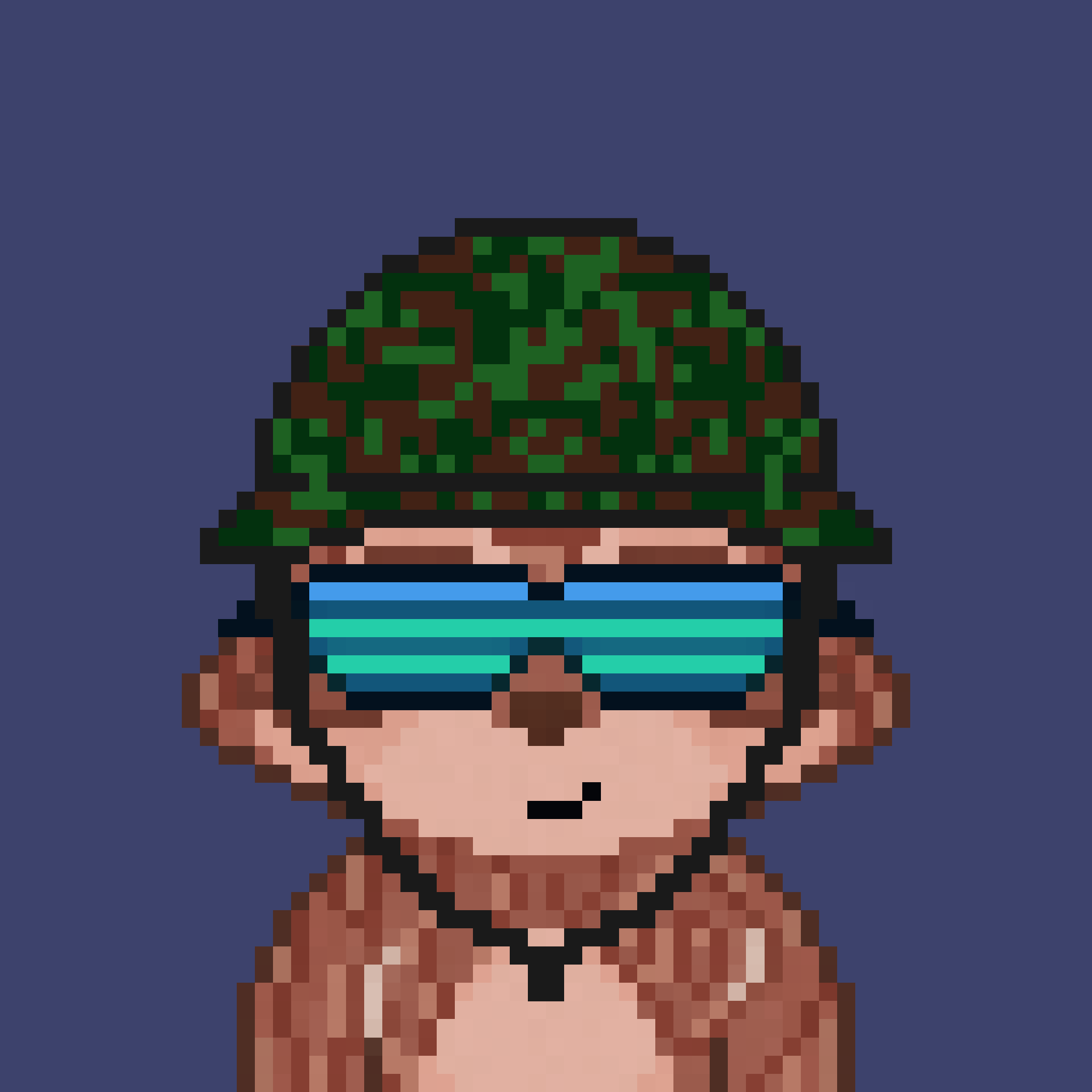 Pixel Raccoon #725 NFT on Algorand