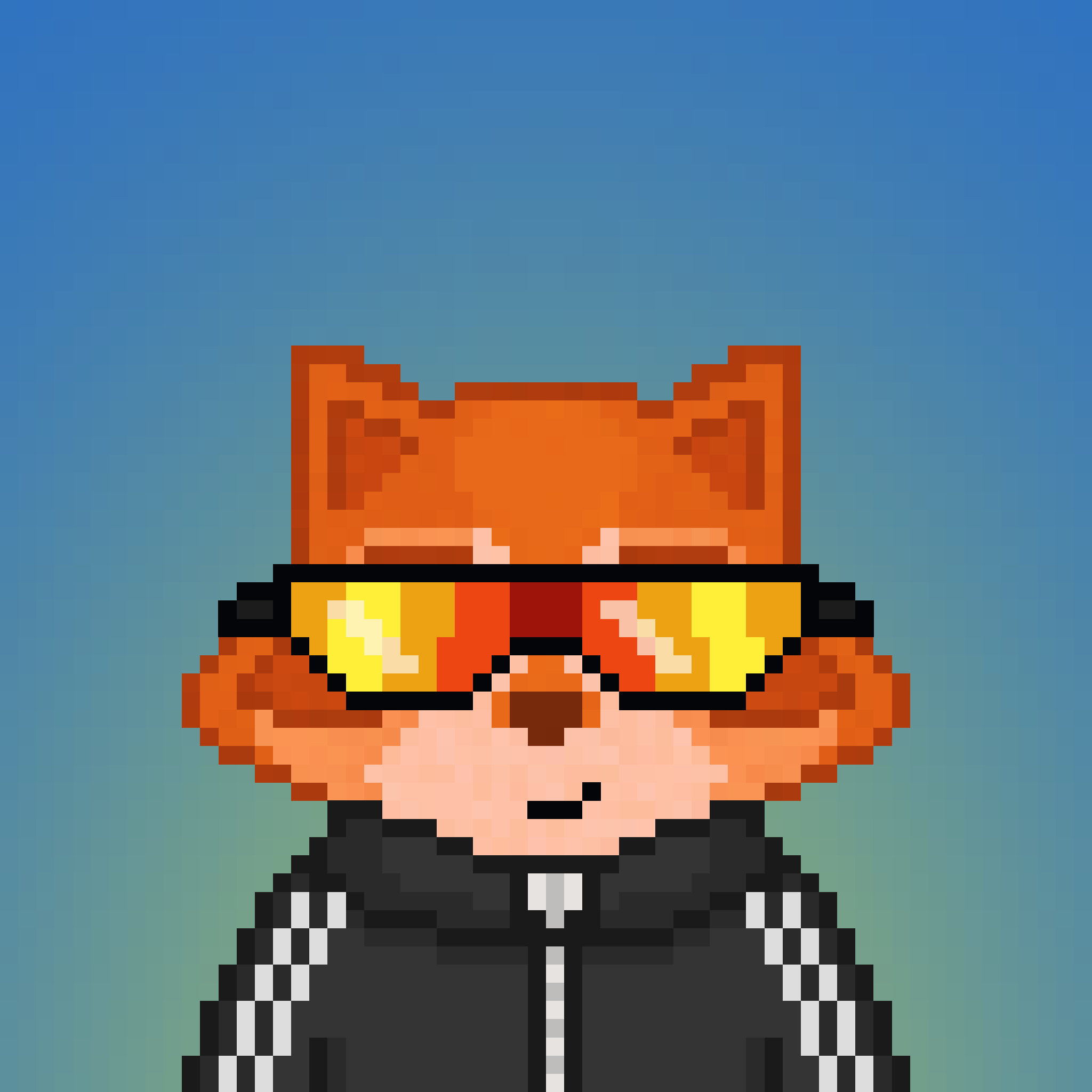 Pixel Raccoon #73 NFT on Algorand