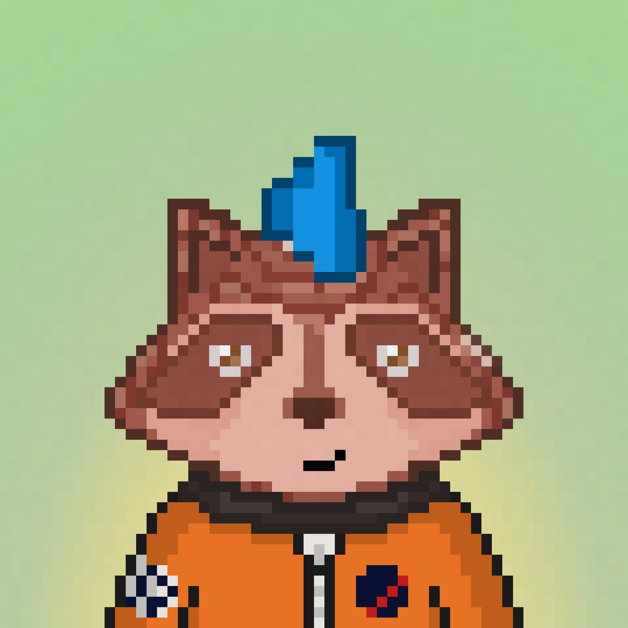 Pixel Raccoon #744 NFT on Algorand