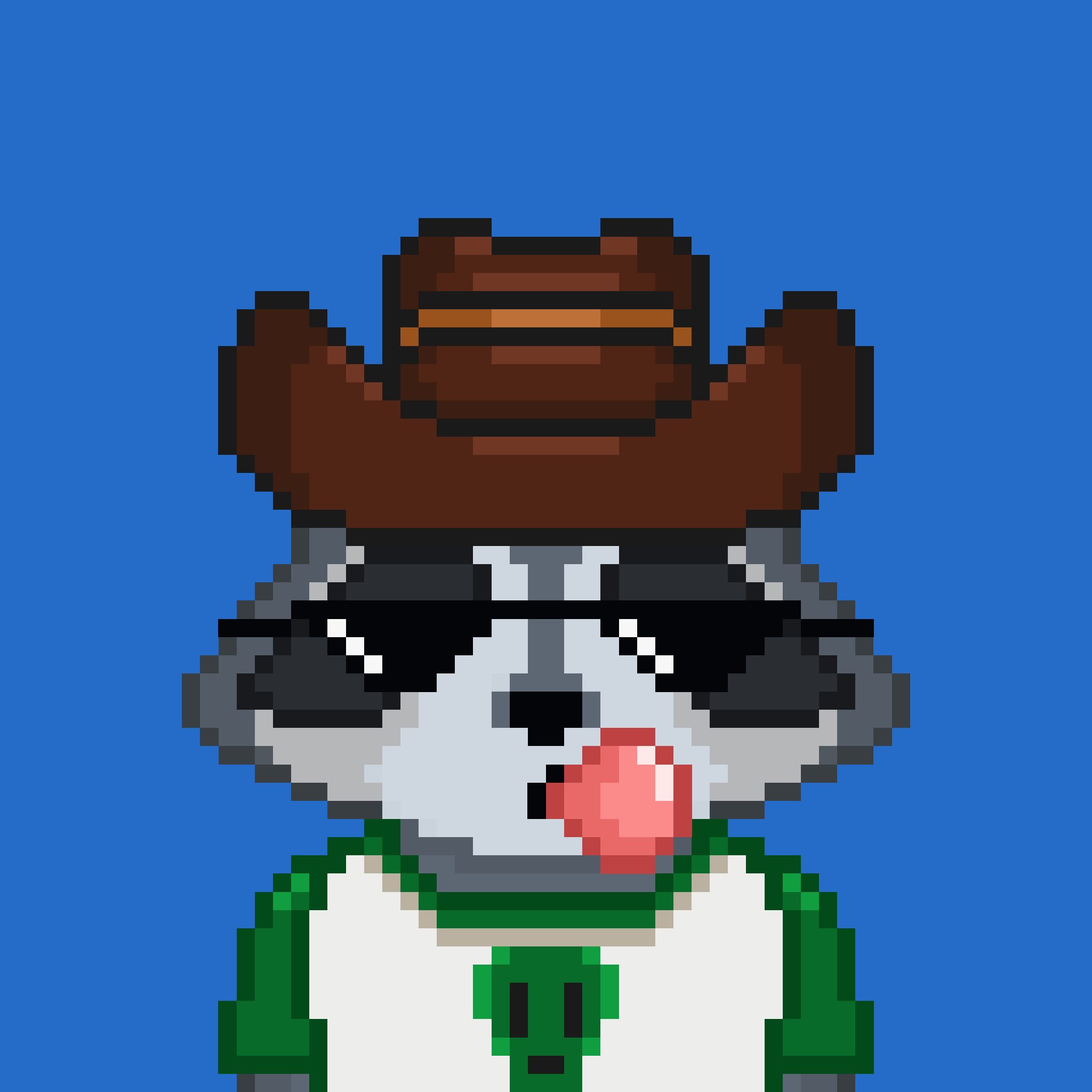 Pixel Raccoon #751 NFT on Algorand