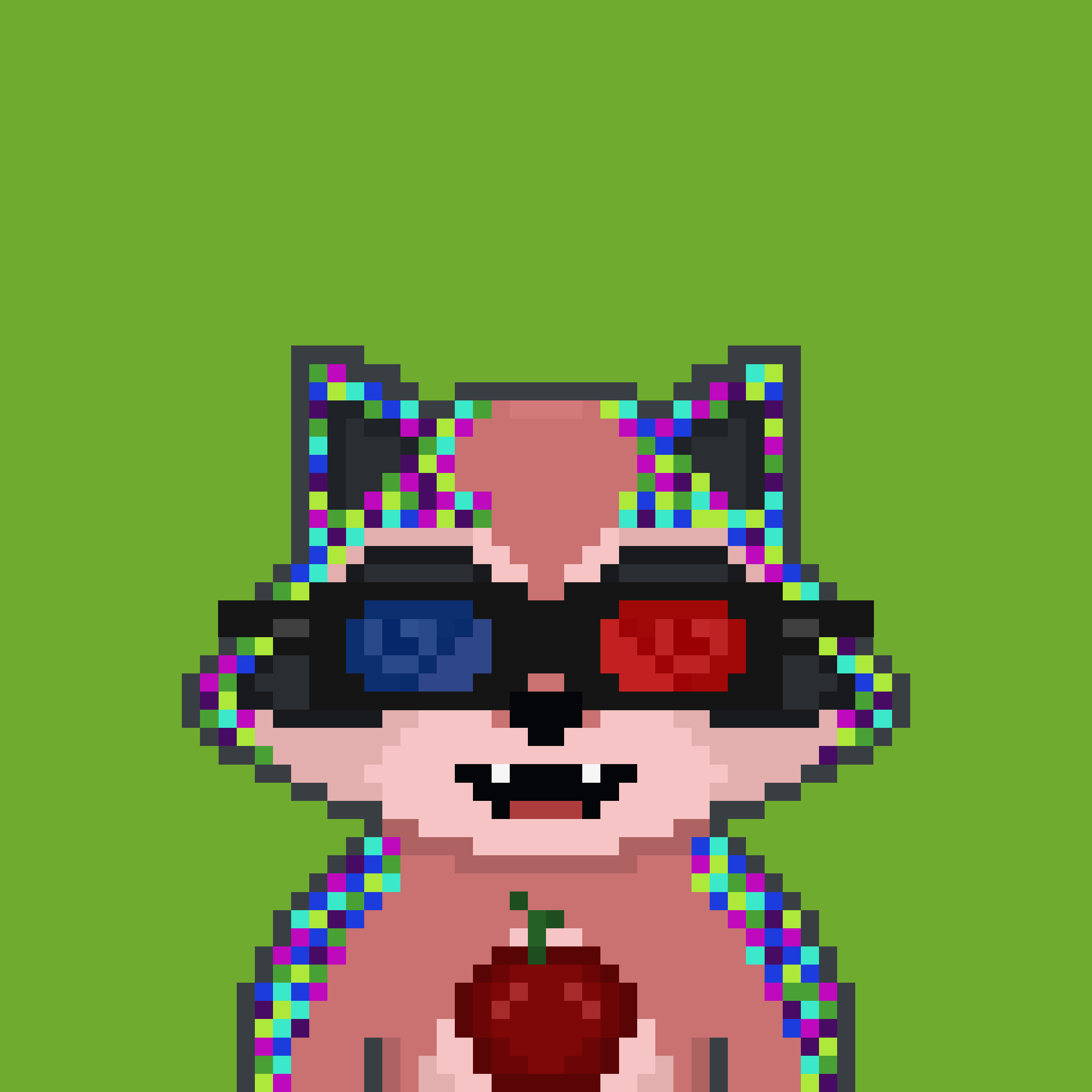 Pixel Raccoon #760 NFT on Algorand