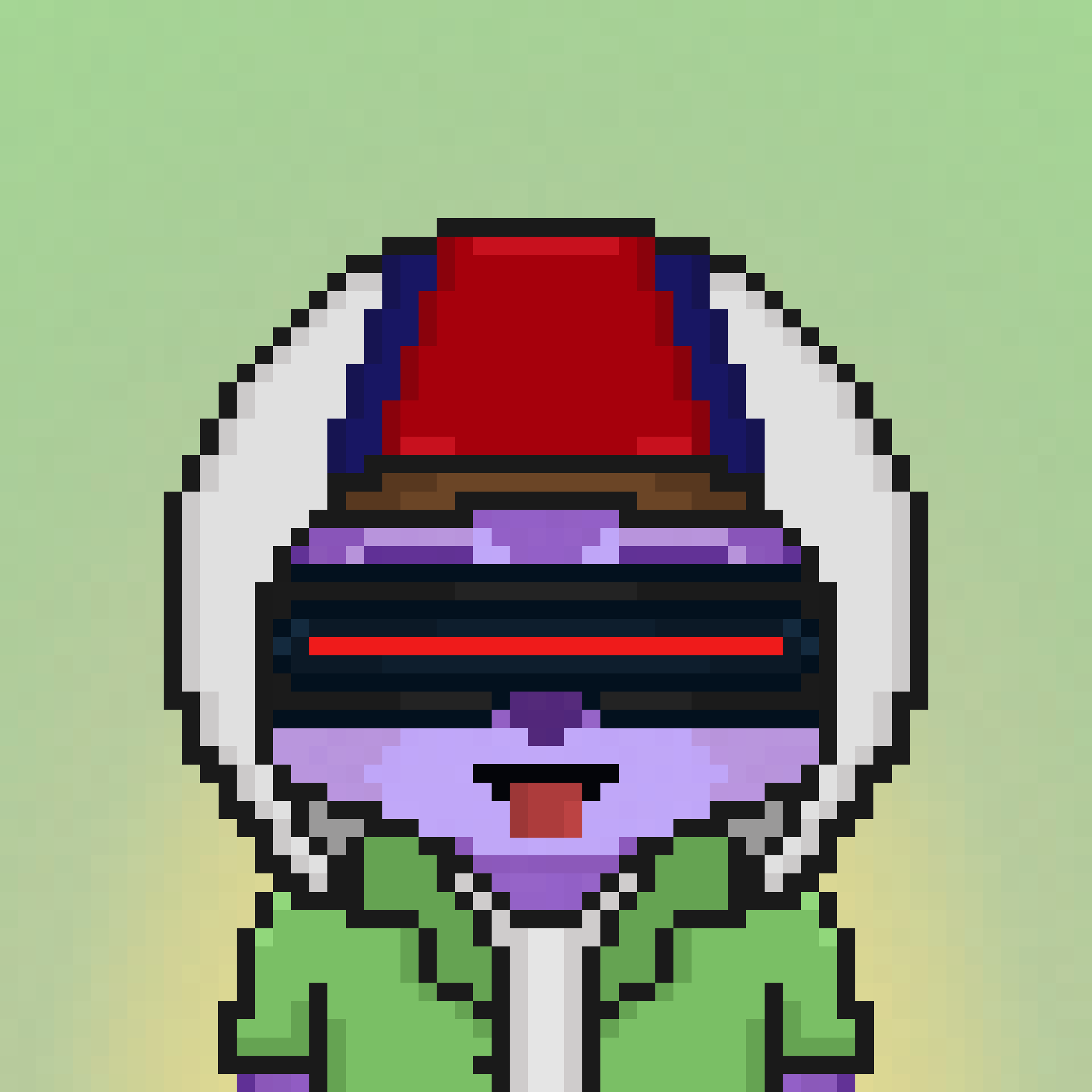 Pixel Raccoon #762 NFT on Algorand