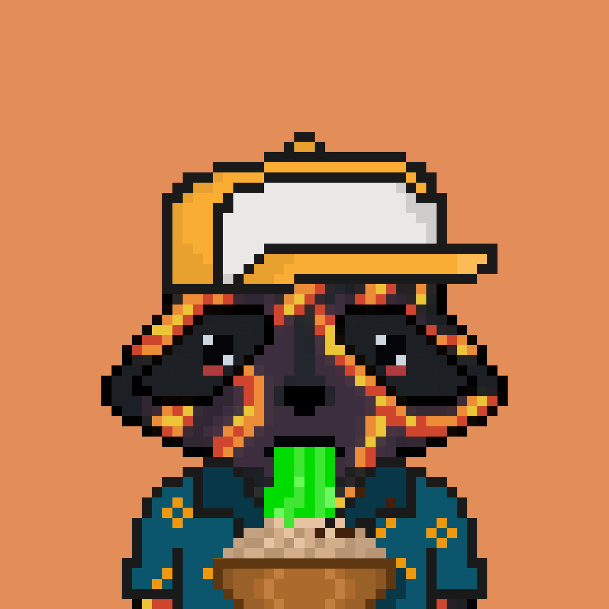 Pixel Raccoon #765 NFT on Algorand