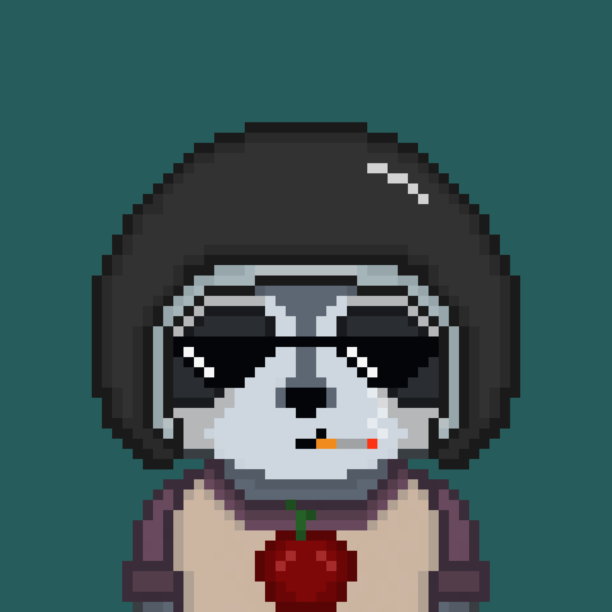 Pixel Raccoon #781 NFT on Algorand