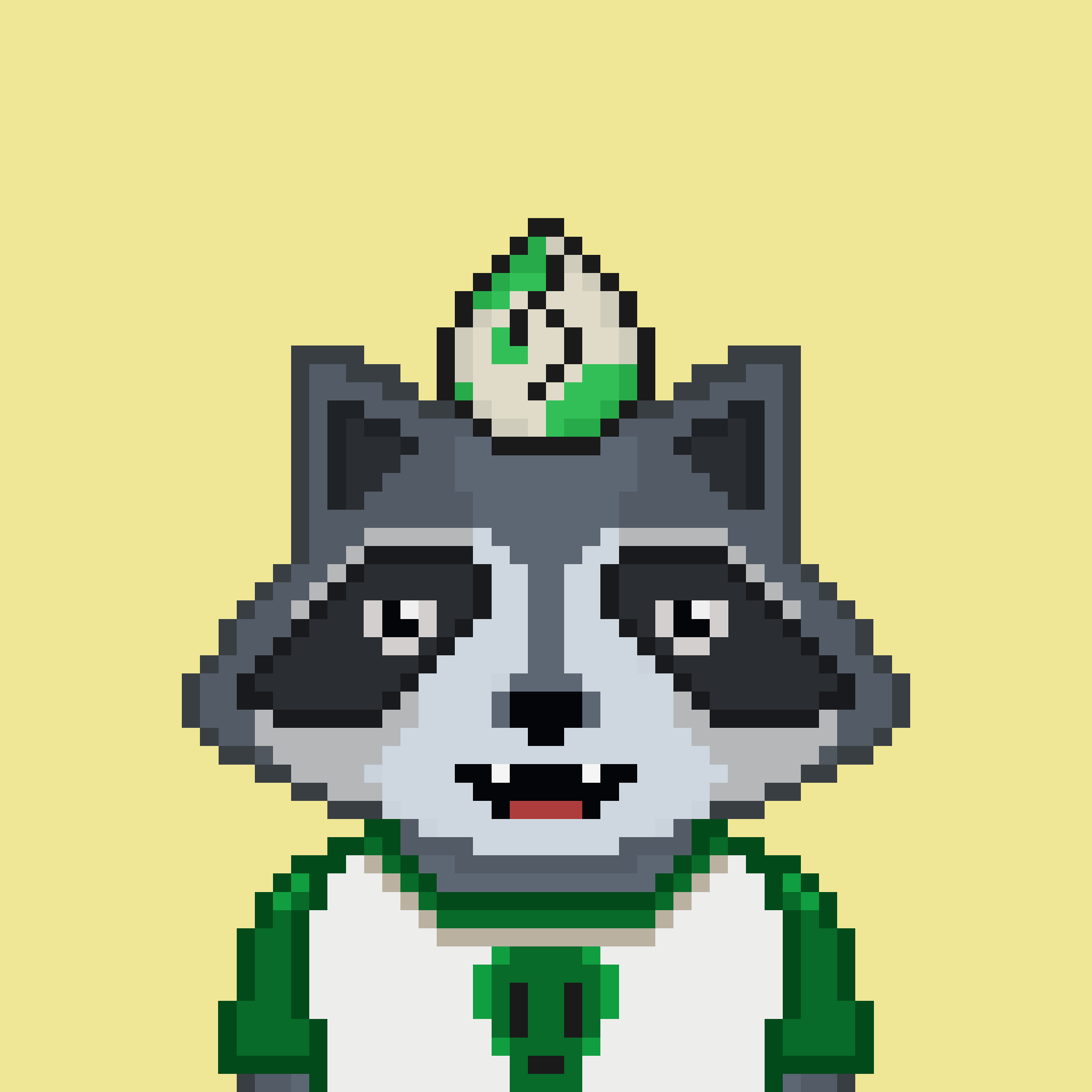 Pixel Raccoon #788 NFT on Algorand