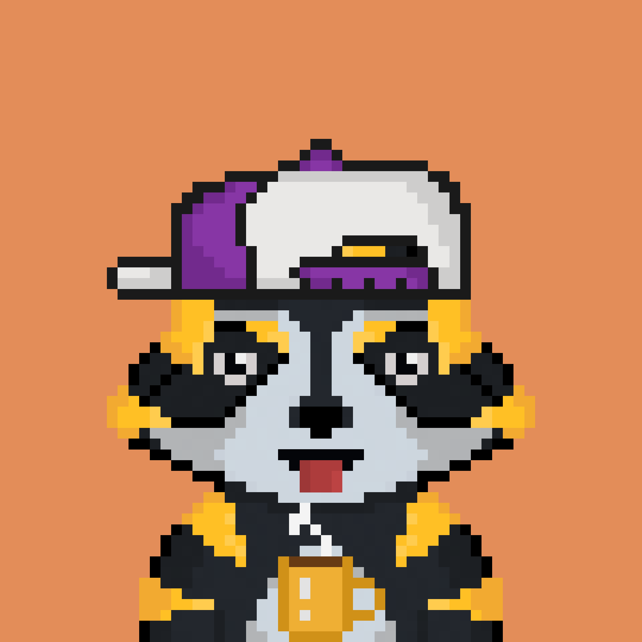 Pixel Raccoon #790 NFT on Algorand