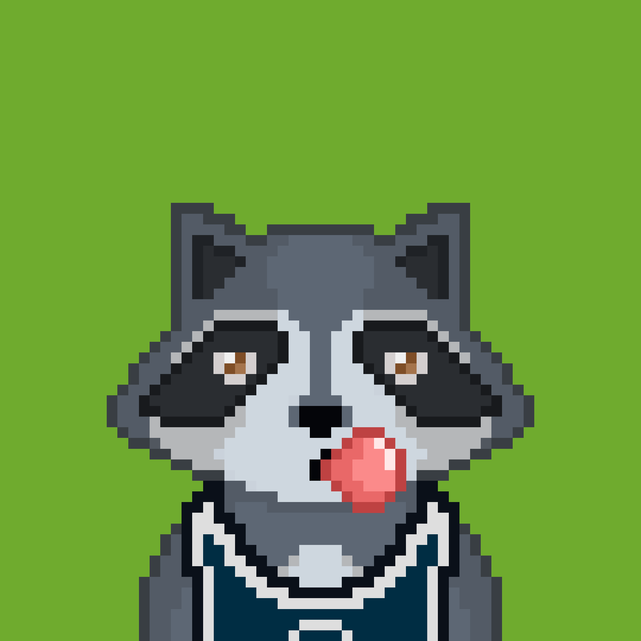 Pixel Raccoon #791 NFT on Algorand