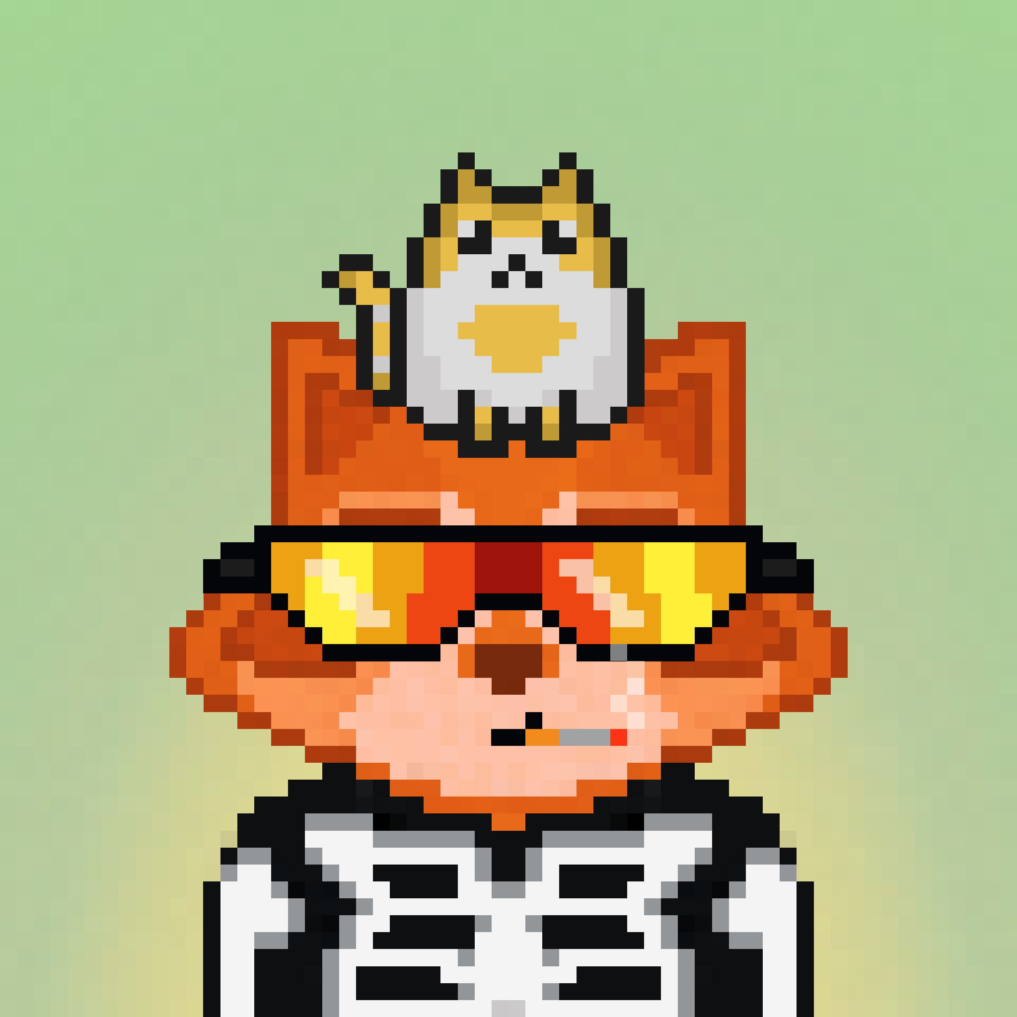 Pixel Raccoon #794 NFT on Algorand