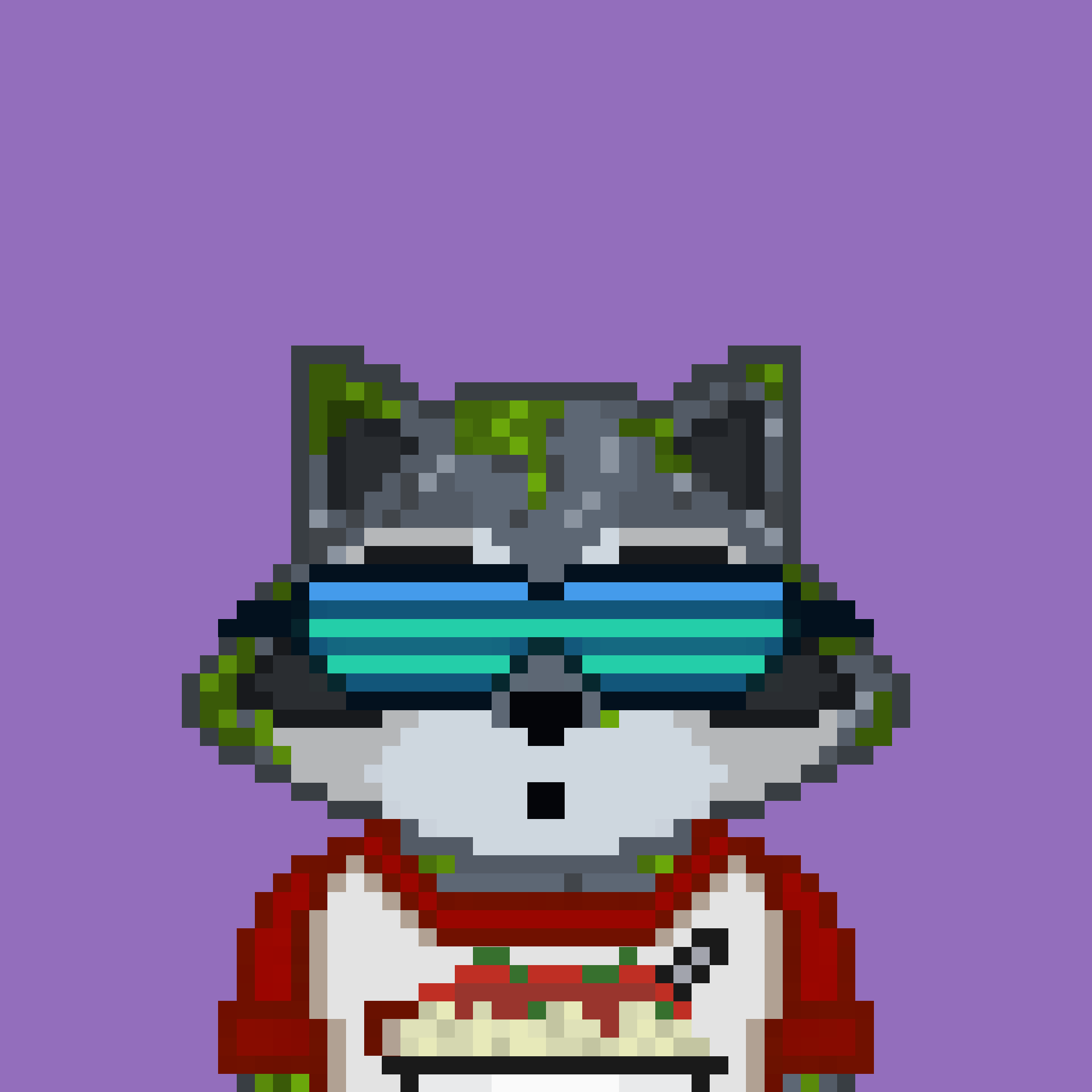 Pixel Raccoon #795 NFT on Algorand