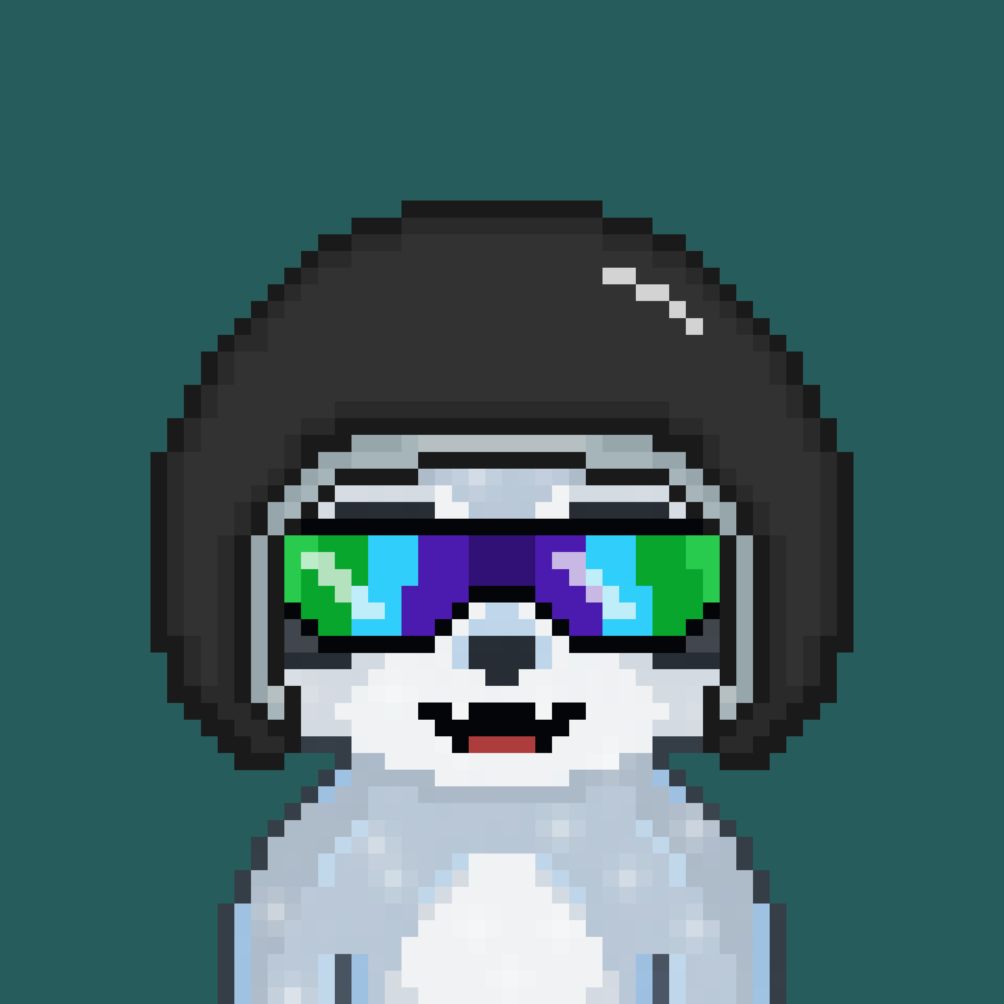 Pixel Raccoon #799 NFT on Algorand