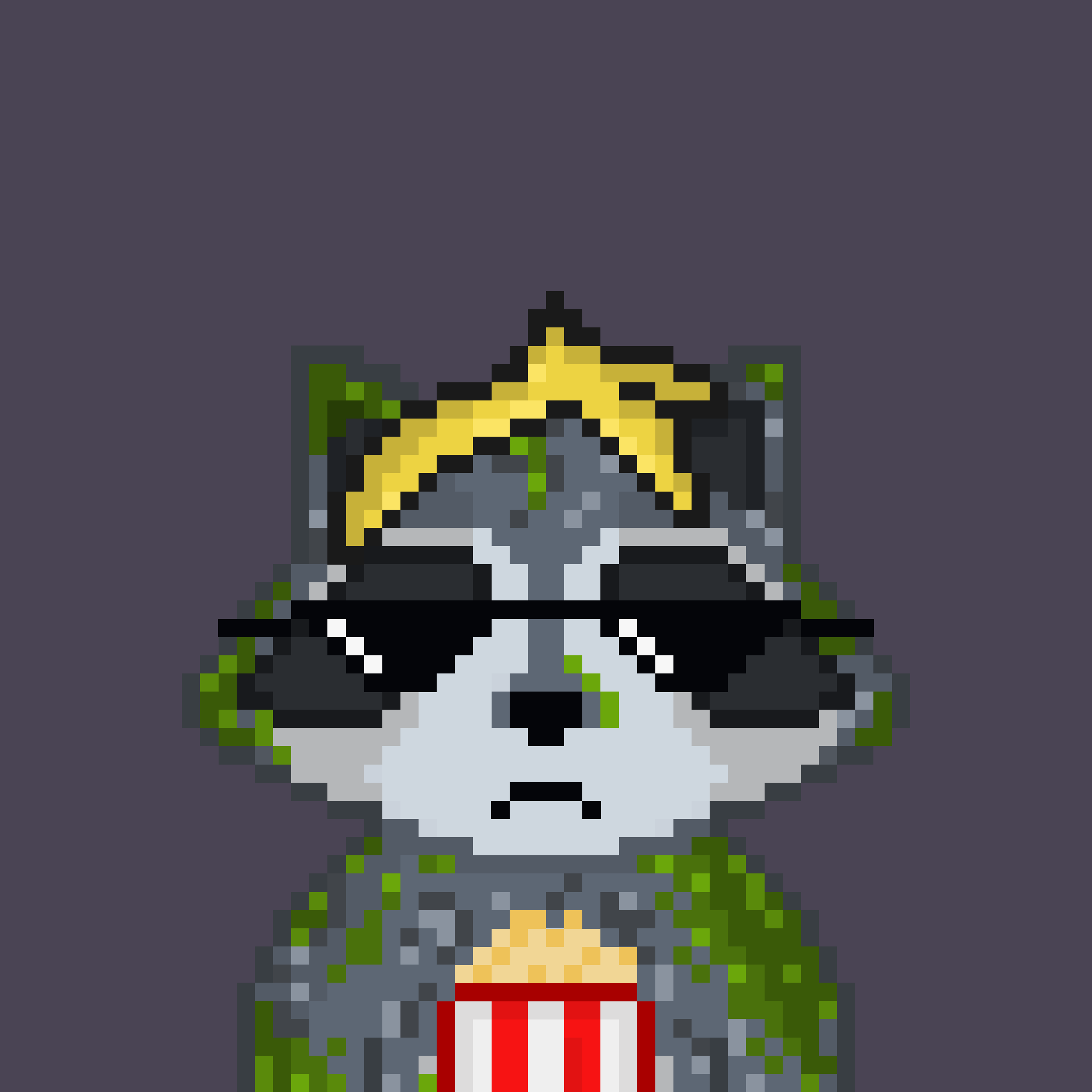 Pixel Raccoon #80 NFT on Algorand