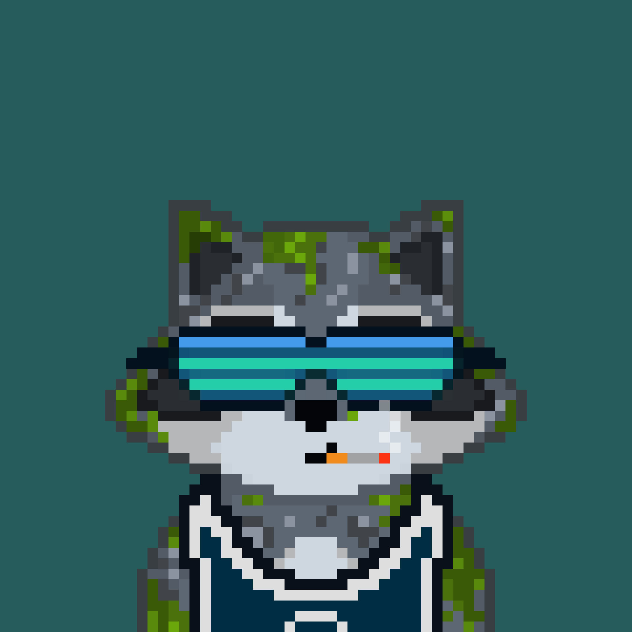 Pixel Raccoon #808 NFT on Algorand