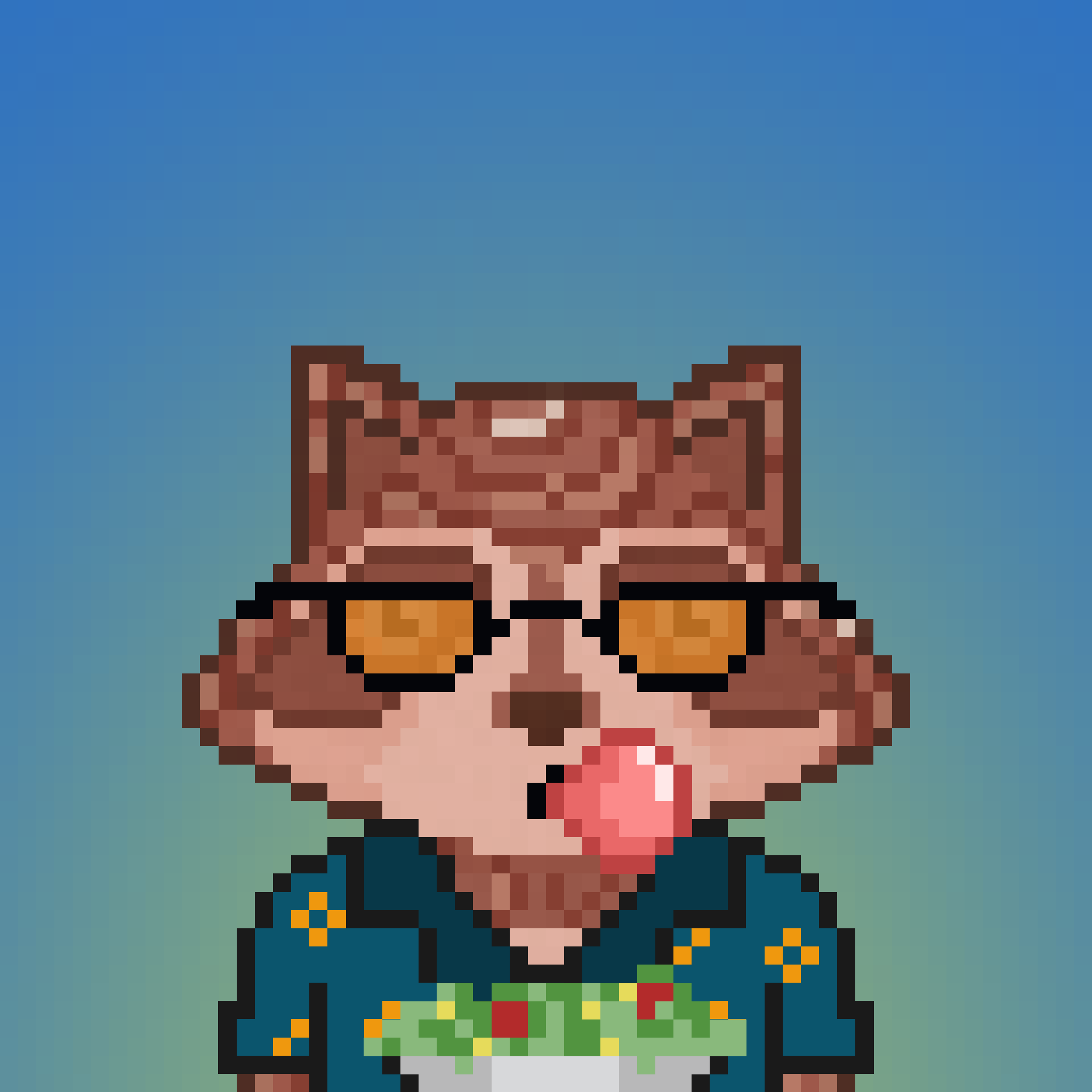 Pixel Raccoon #810 NFT on Algorand