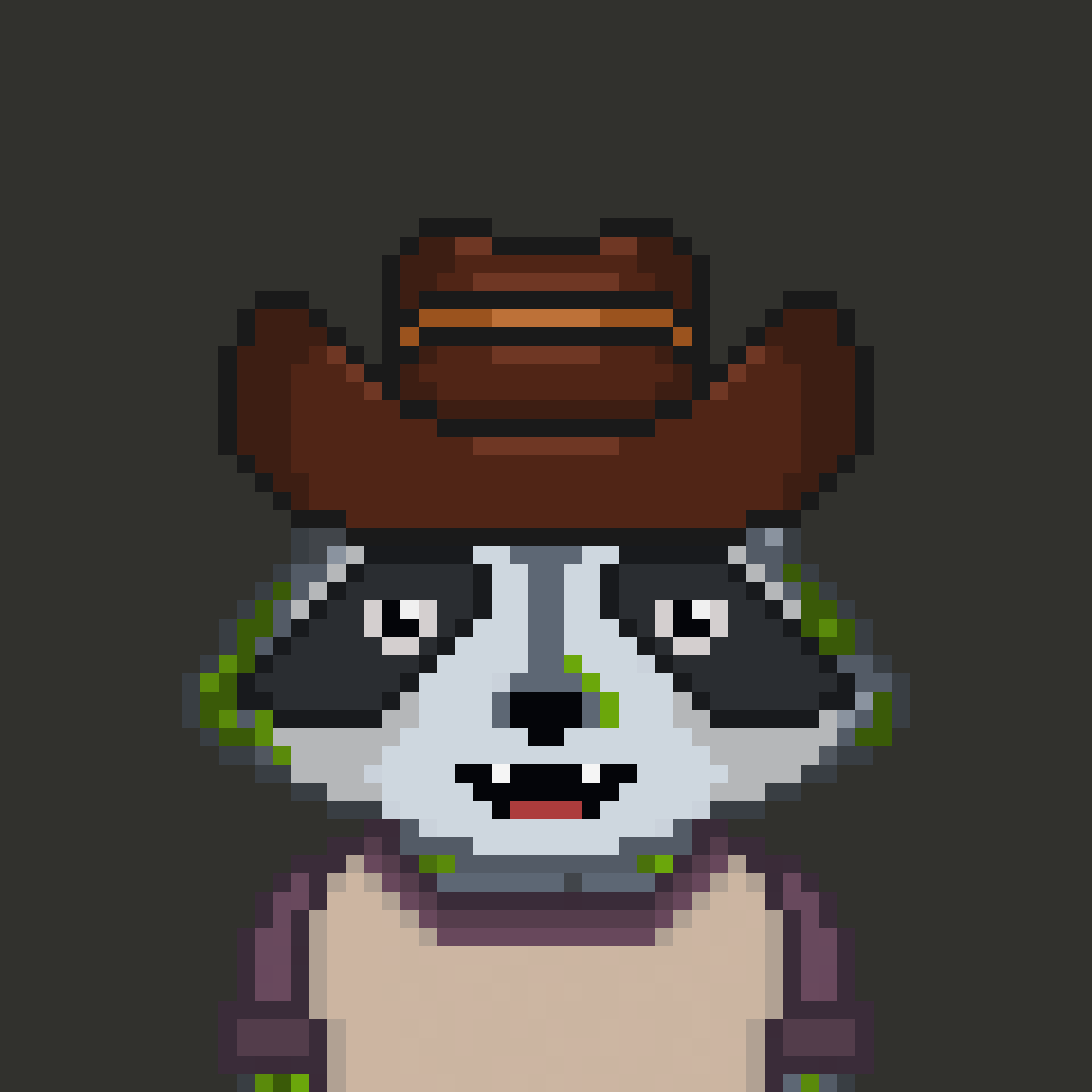 Pixel Raccoon #816 NFT on Algorand