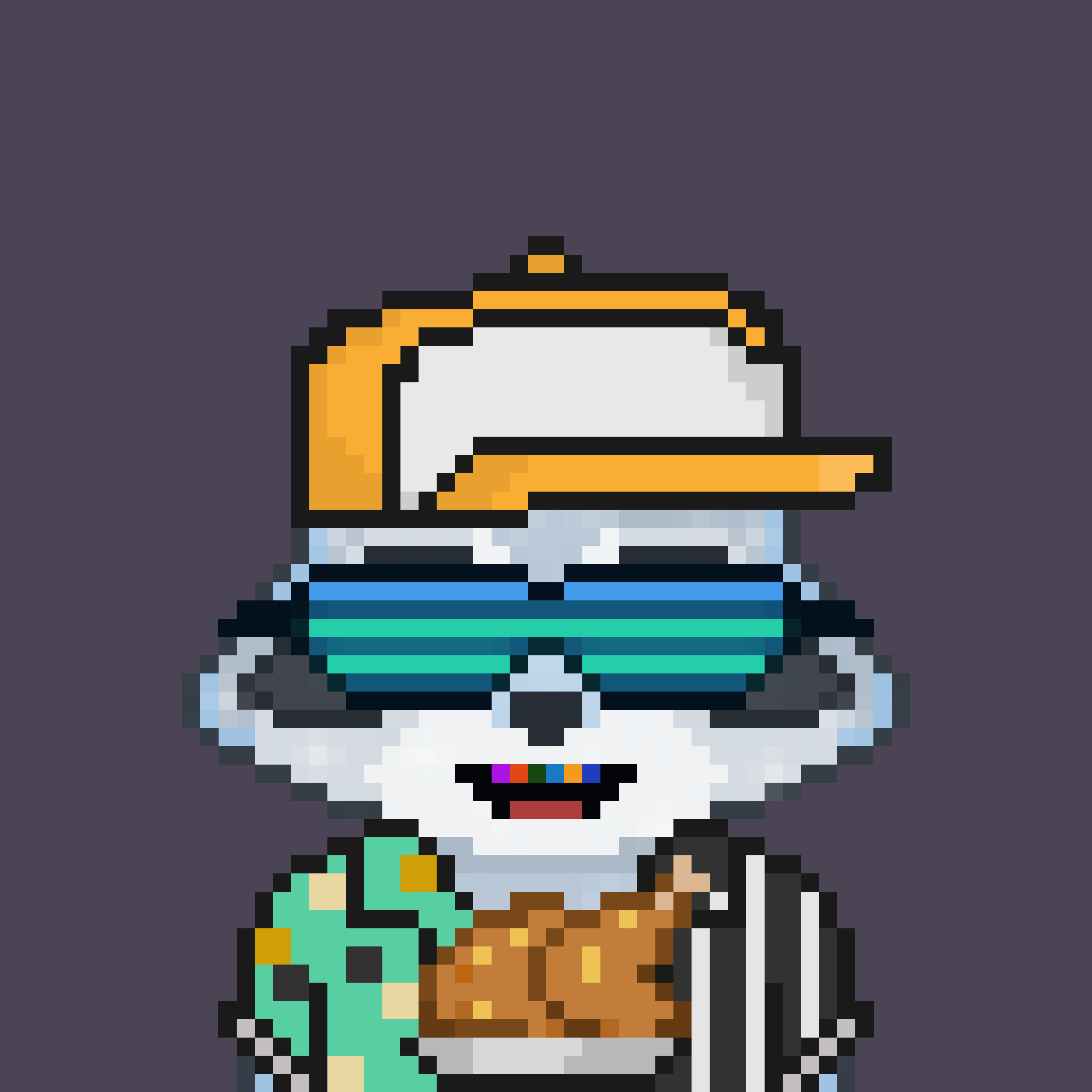 Pixel Raccoon #820 NFT on Algorand