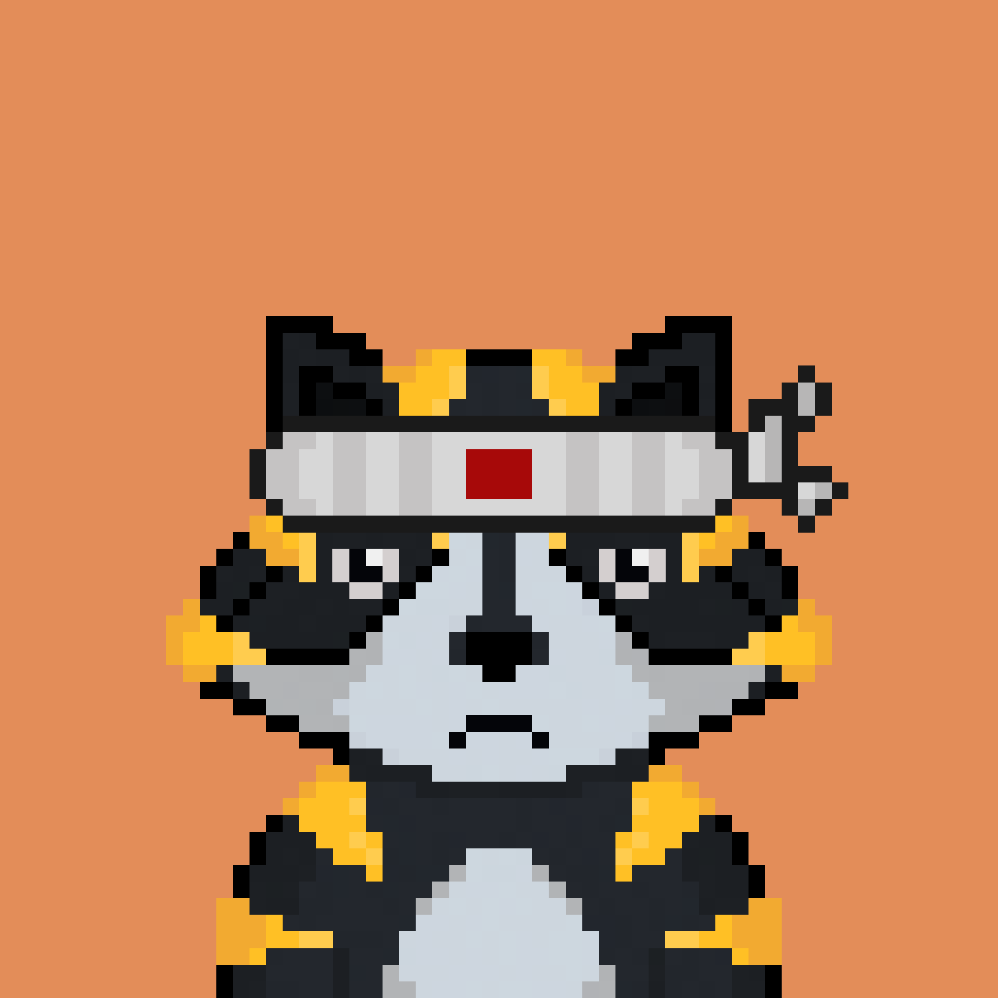 Pixel Raccoon #824 NFT on Algorand