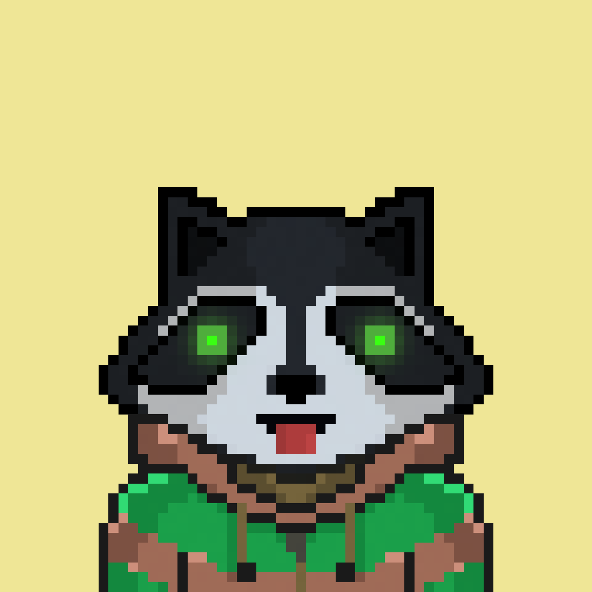 Pixel Raccoon #828 NFT on Algorand