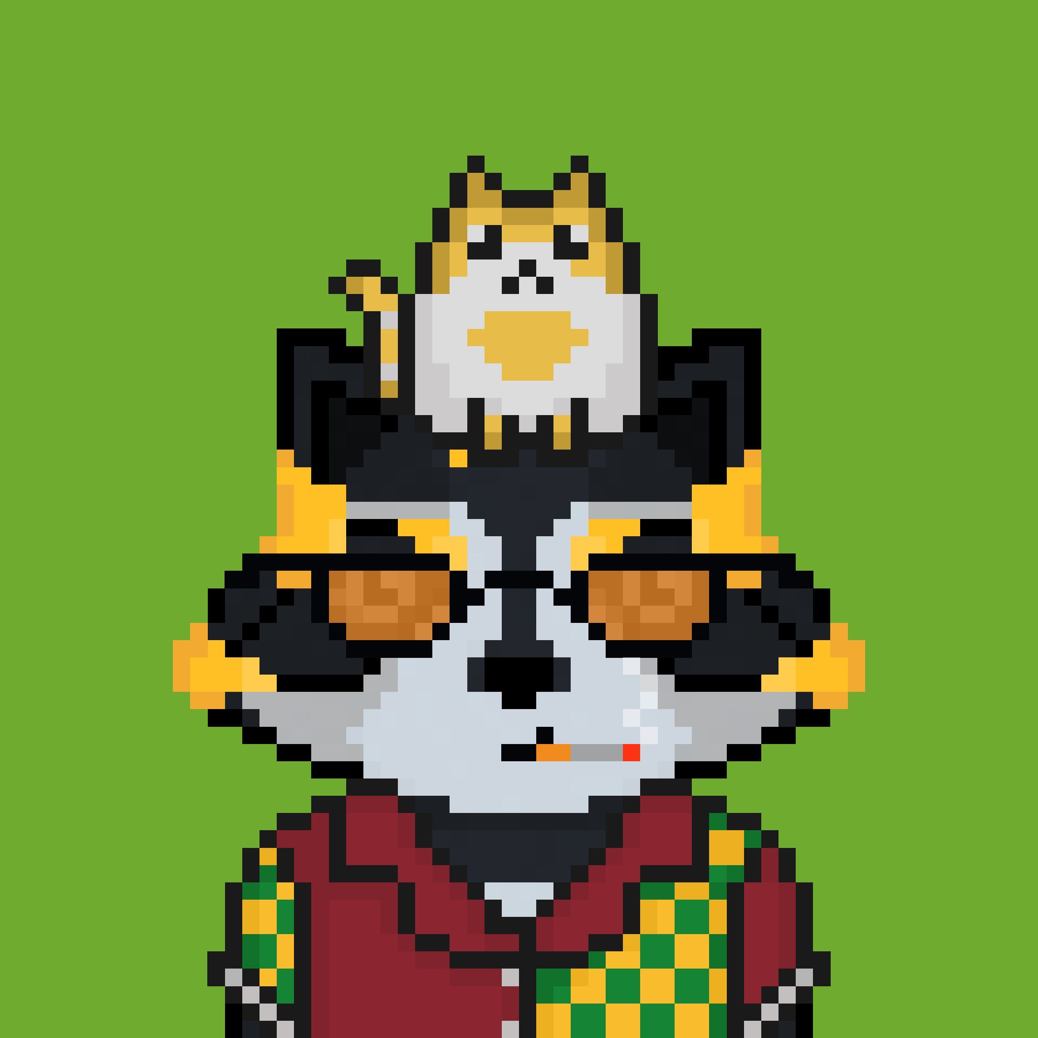 Pixel Raccoon #85 NFT on Algorand