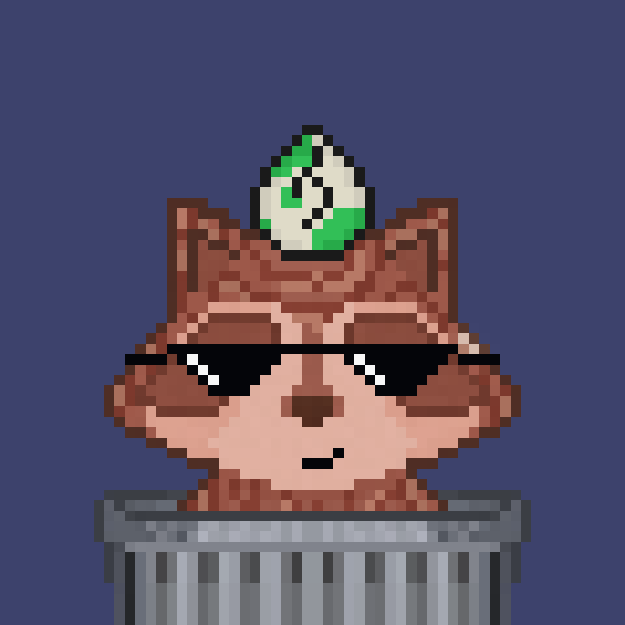 Pixel Raccoon #863 NFT on Algorand