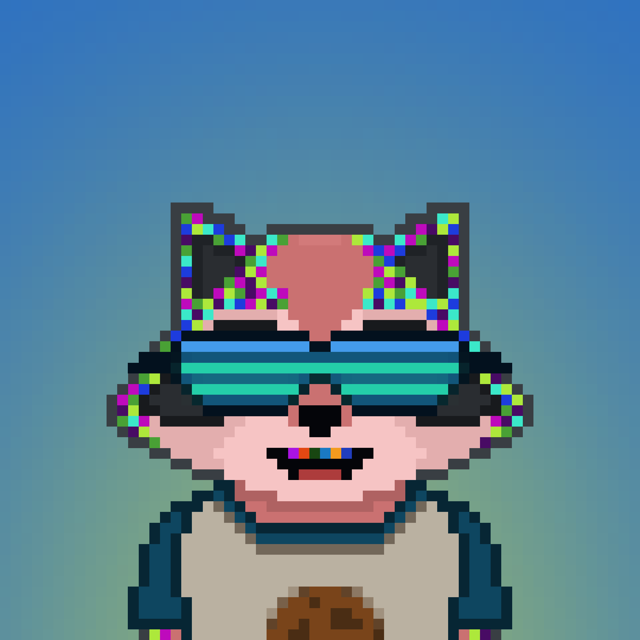 Pixel Raccoon #867 NFT on Algorand