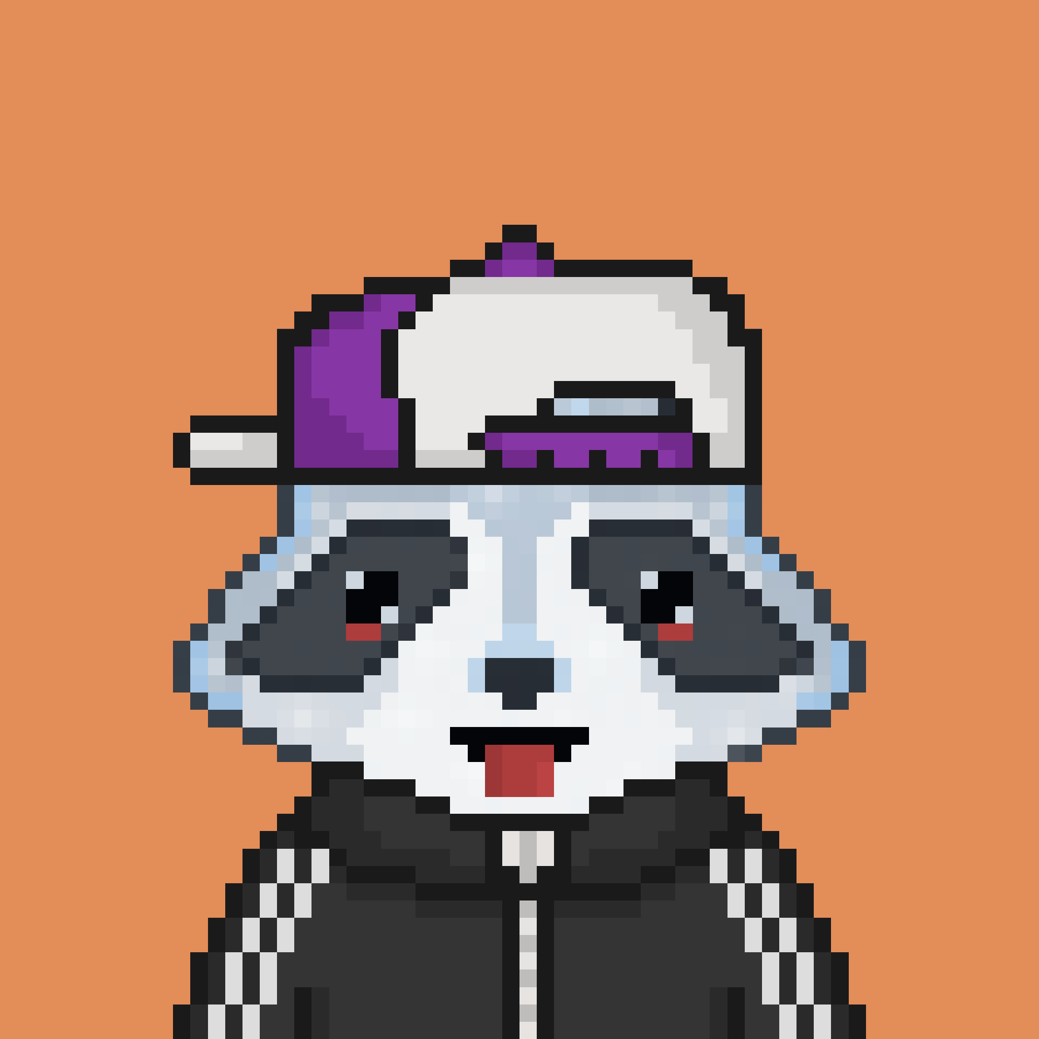 Pixel Raccoon #877 NFT on Algorand