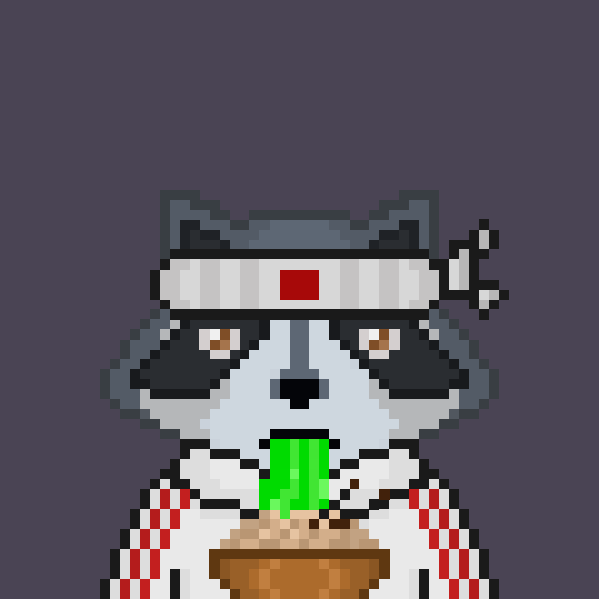 Pixel Raccoon #883 NFT on Algorand