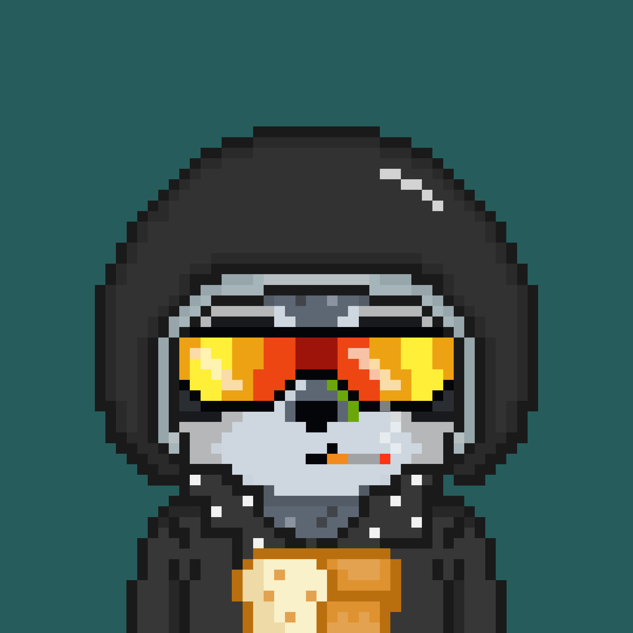 Pixel Raccoon #894 NFT on Algorand