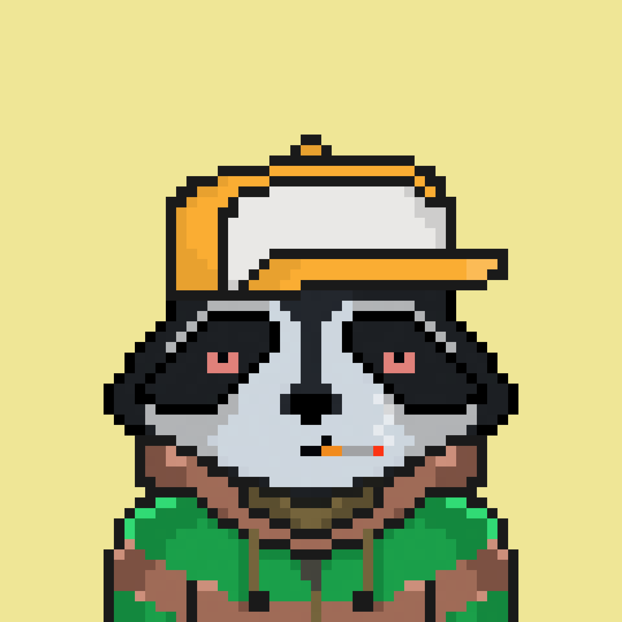 Pixel Raccoon #897 NFT on Algorand