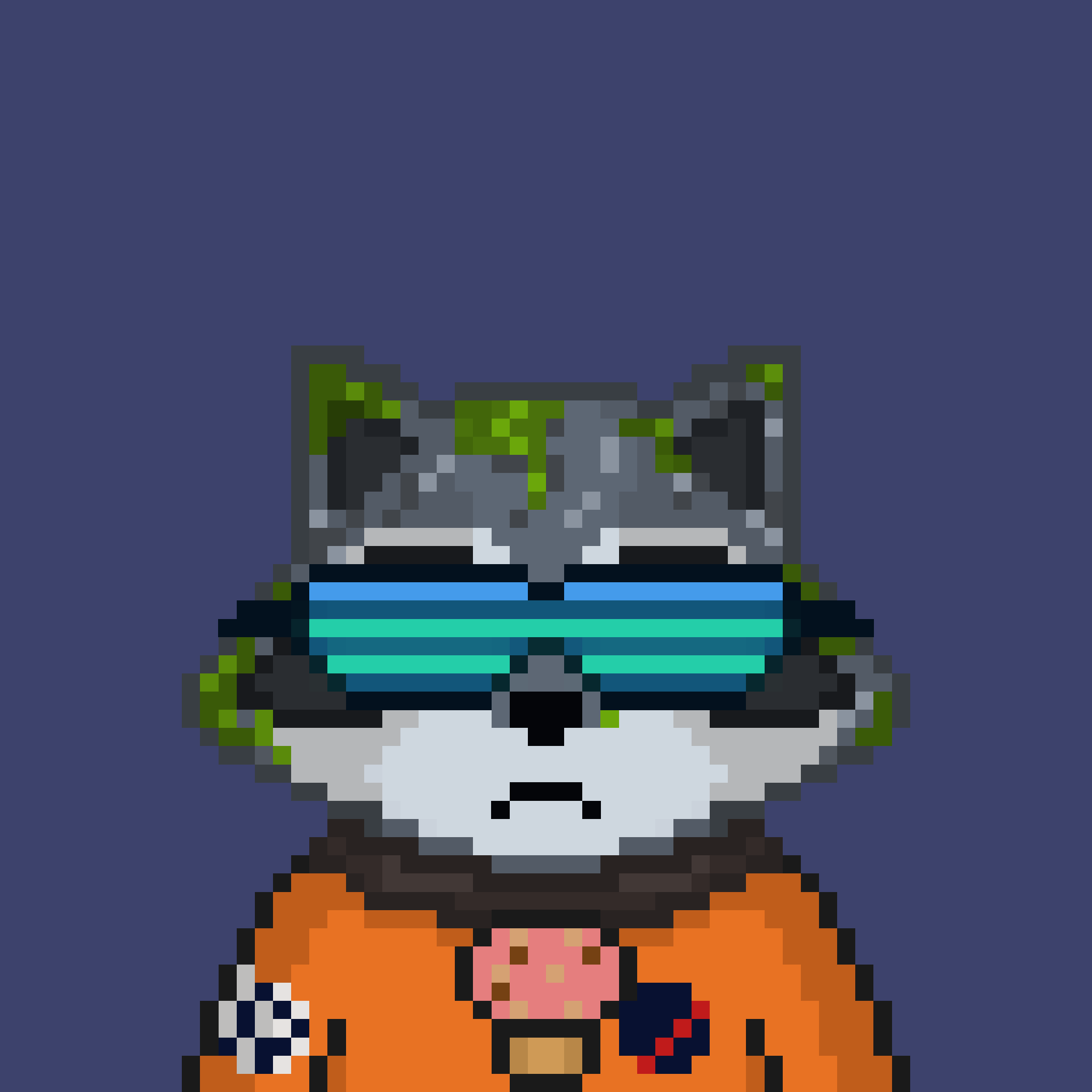 Pixel Raccoon #898 NFT on Algorand
