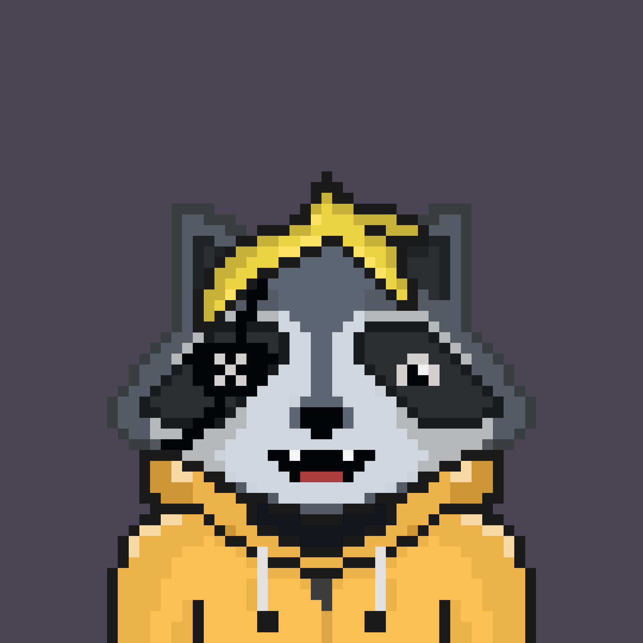 Pixel Raccoon #915 NFT on Algorand