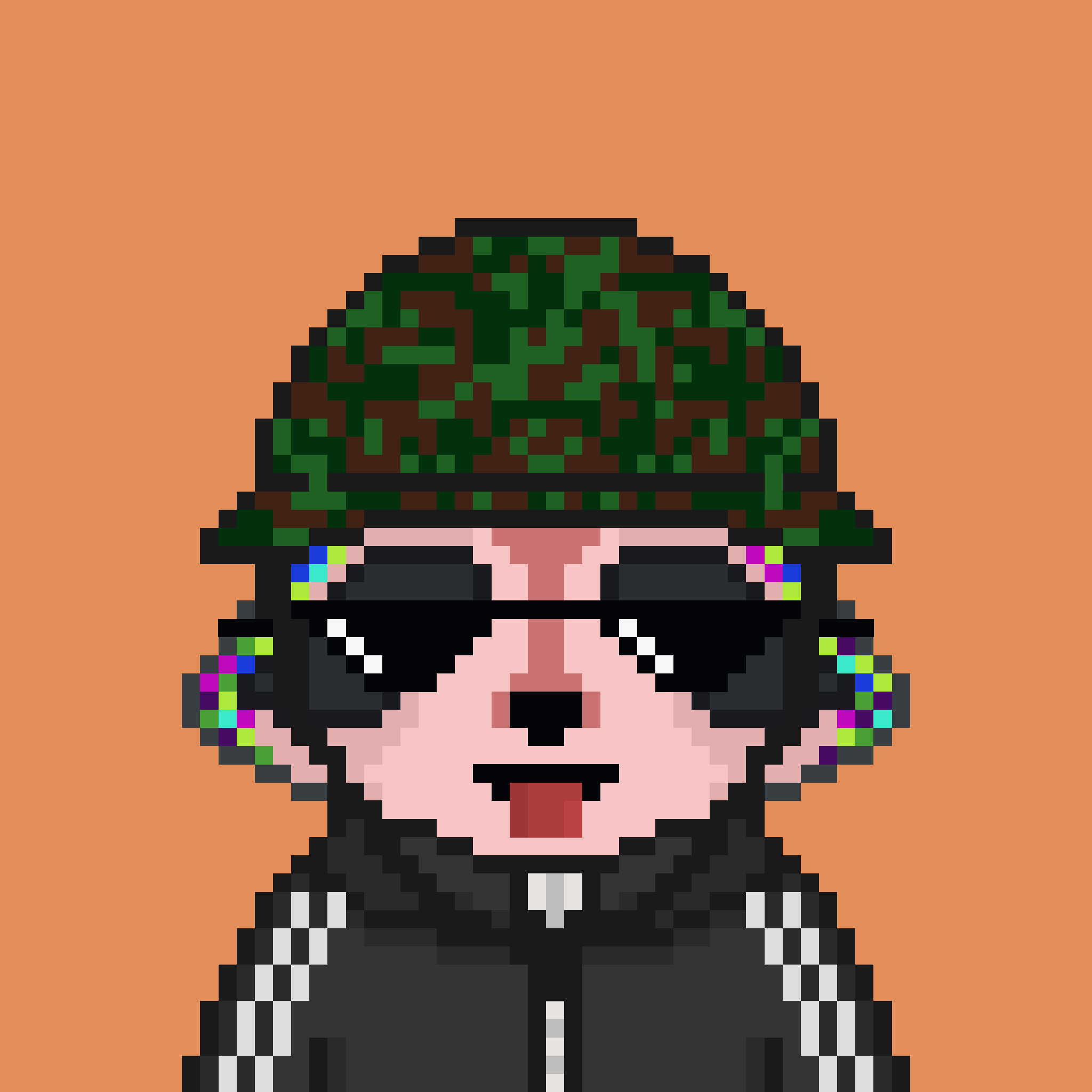 Pixel Raccoon #927 NFT on Algorand