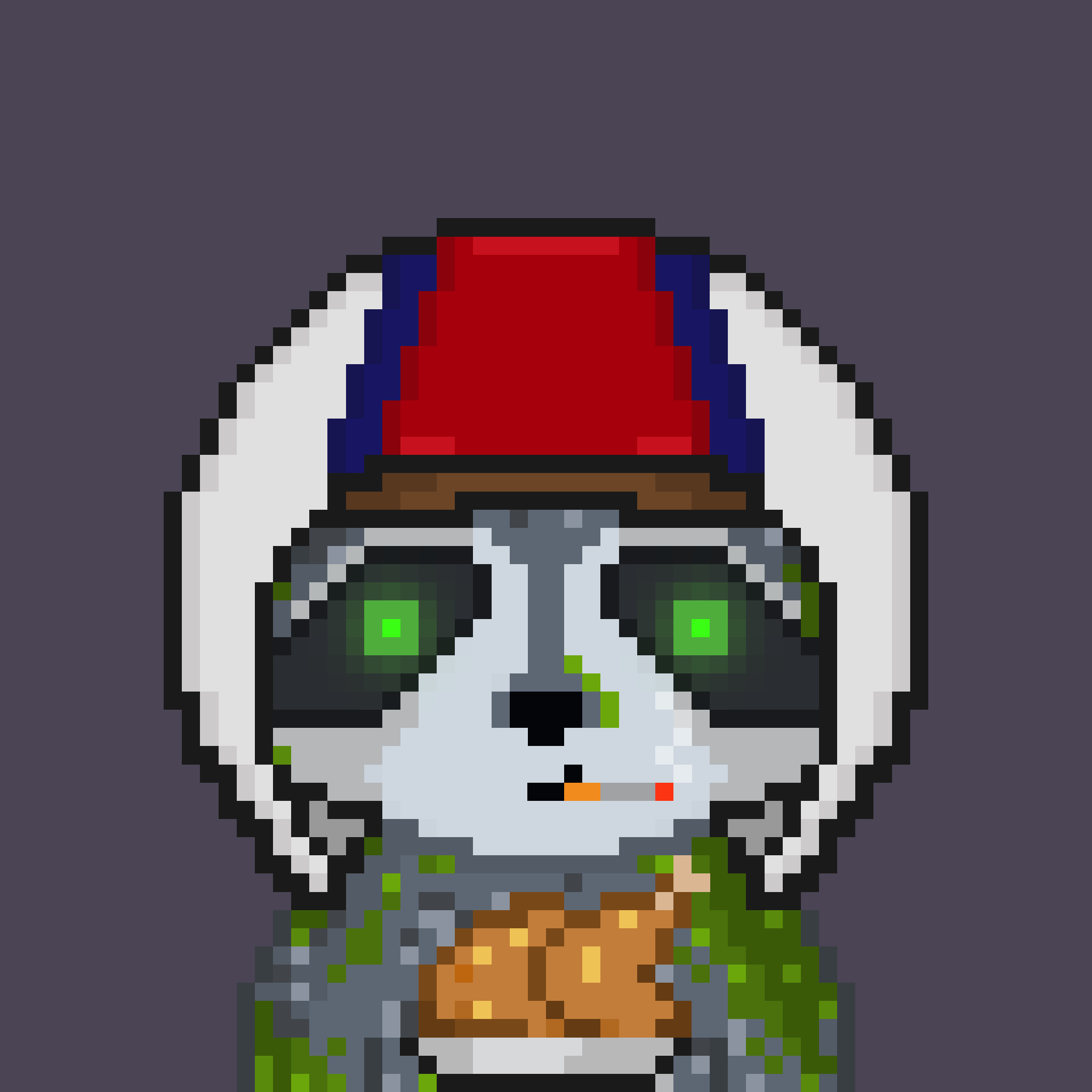 Pixel Raccoon #947 NFT on Algorand