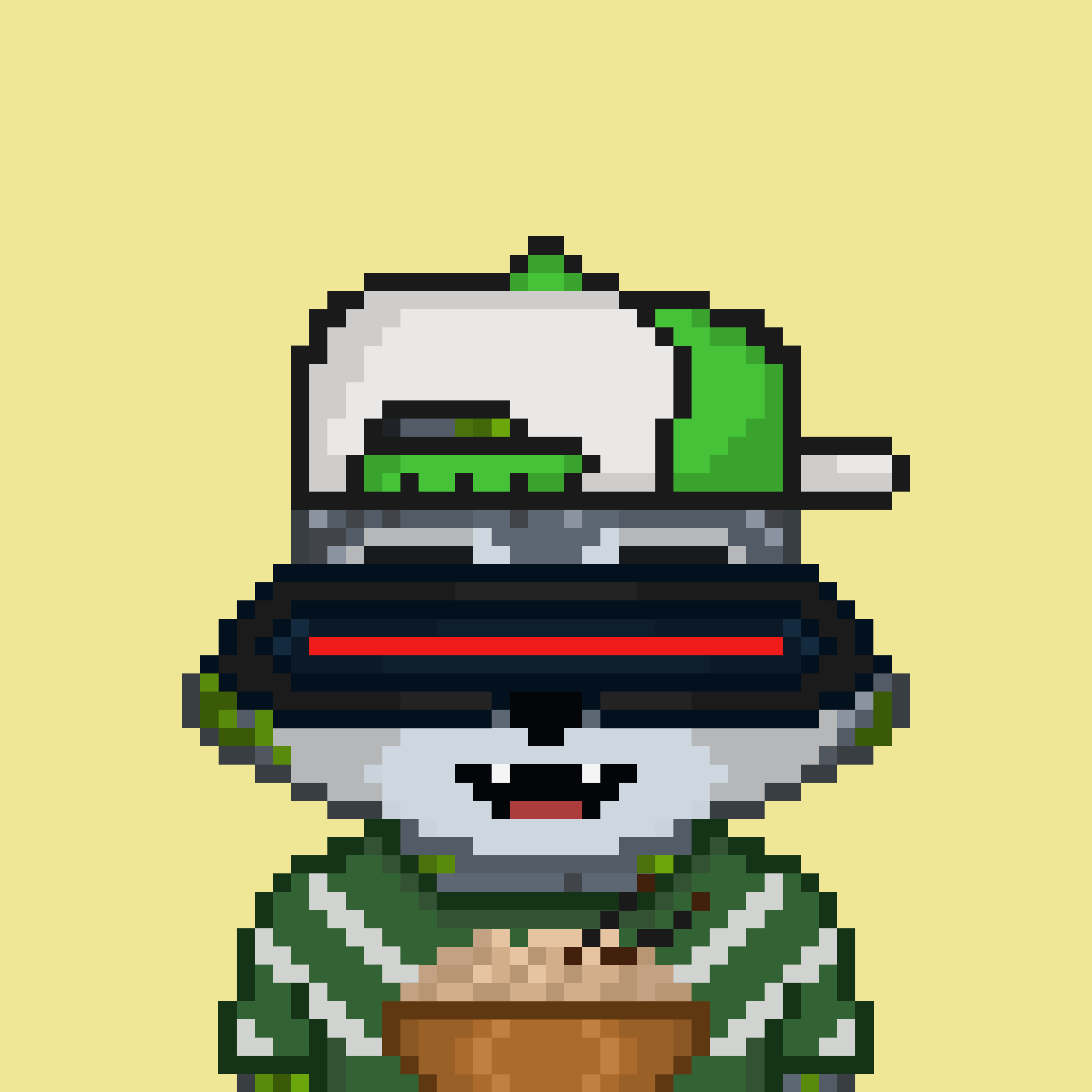 Pixel Raccoon #958 NFT on Algorand