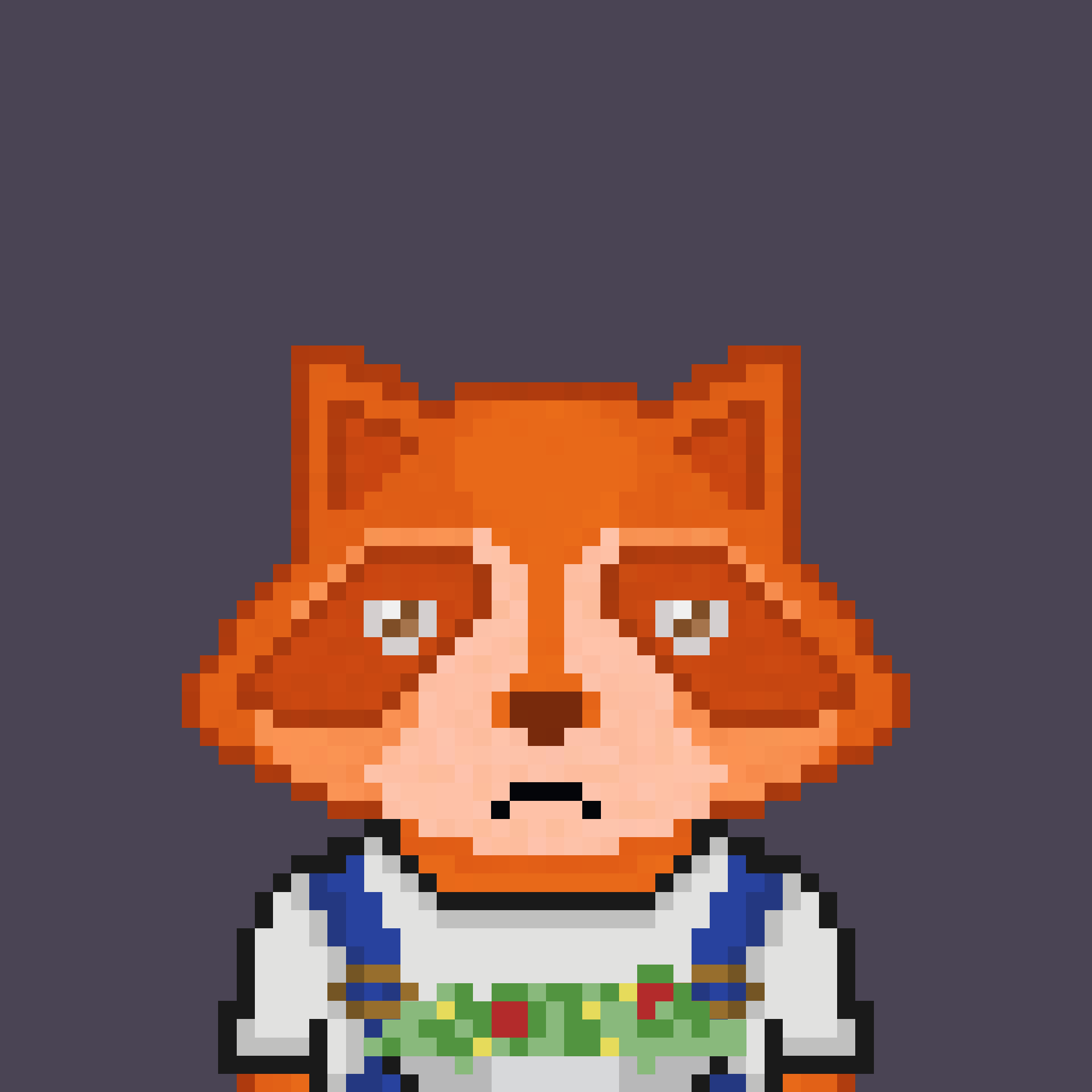 Pixel Raccoon #961 NFT on Algorand