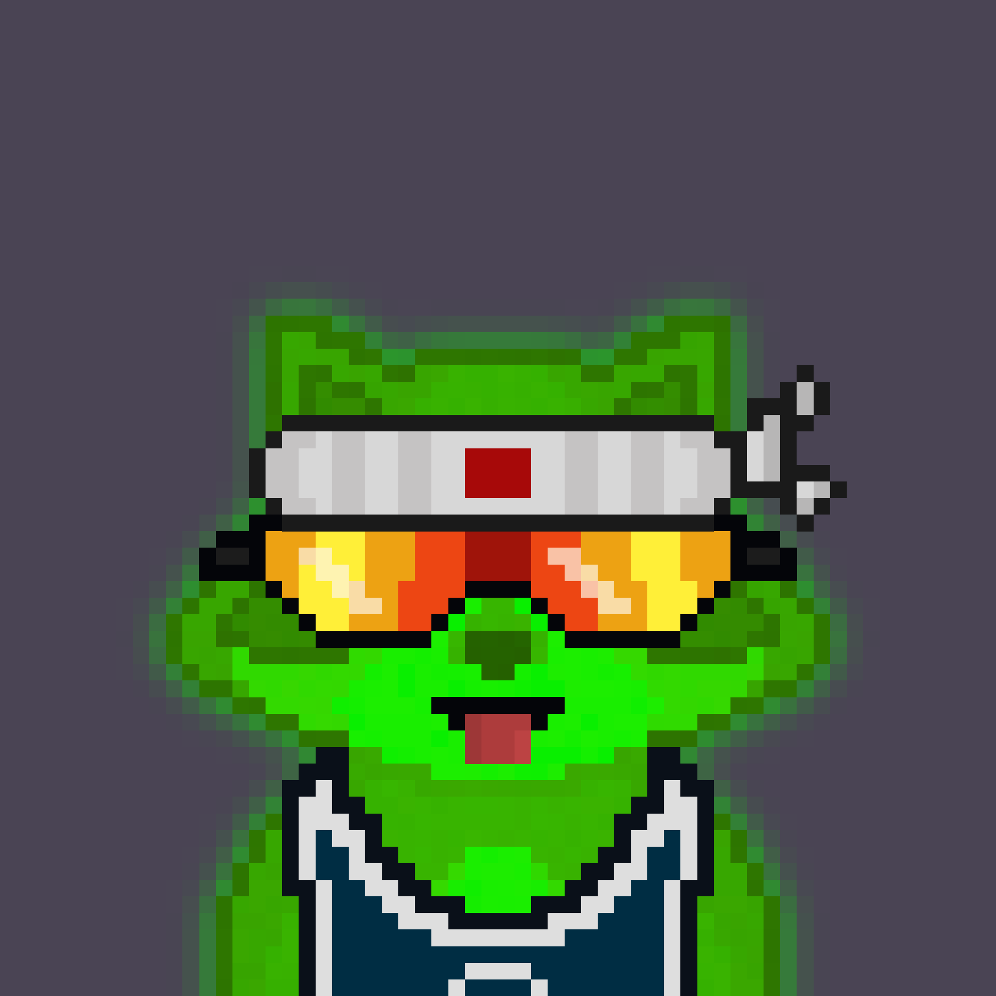 Pixel Raccoon #998 NFT on Algorand