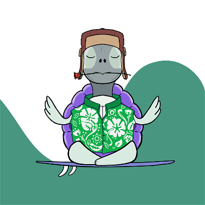 Zen Turtle 0191