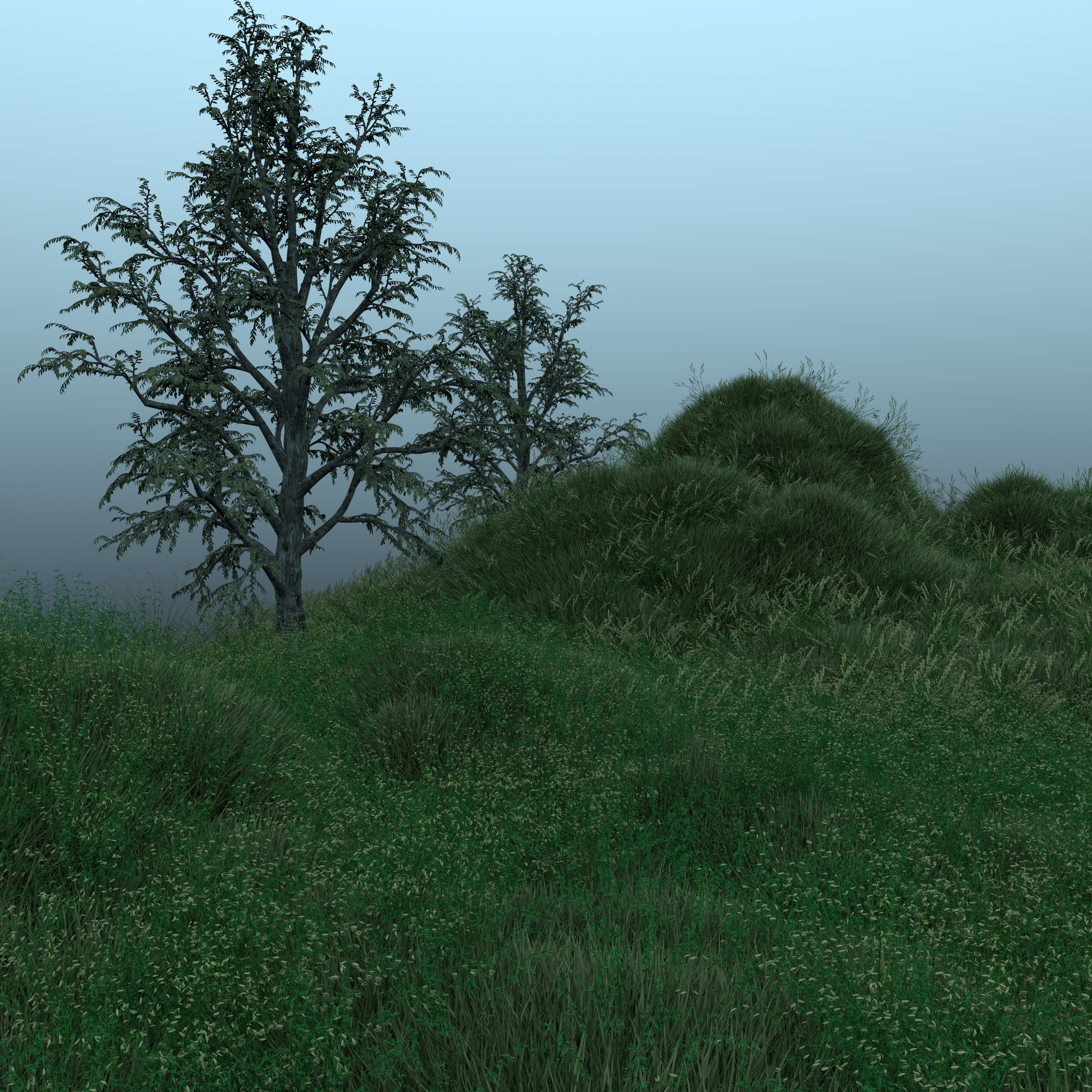 Connecting with nature #9 NFT on Algorand