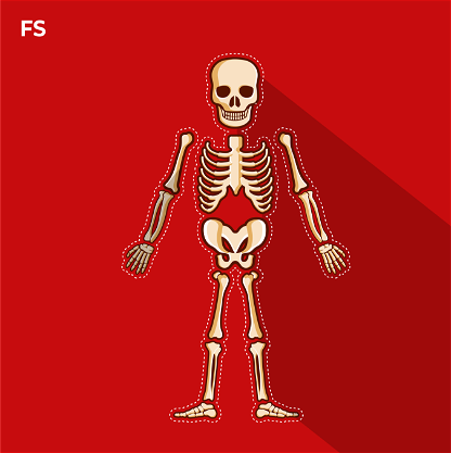 Bones FS