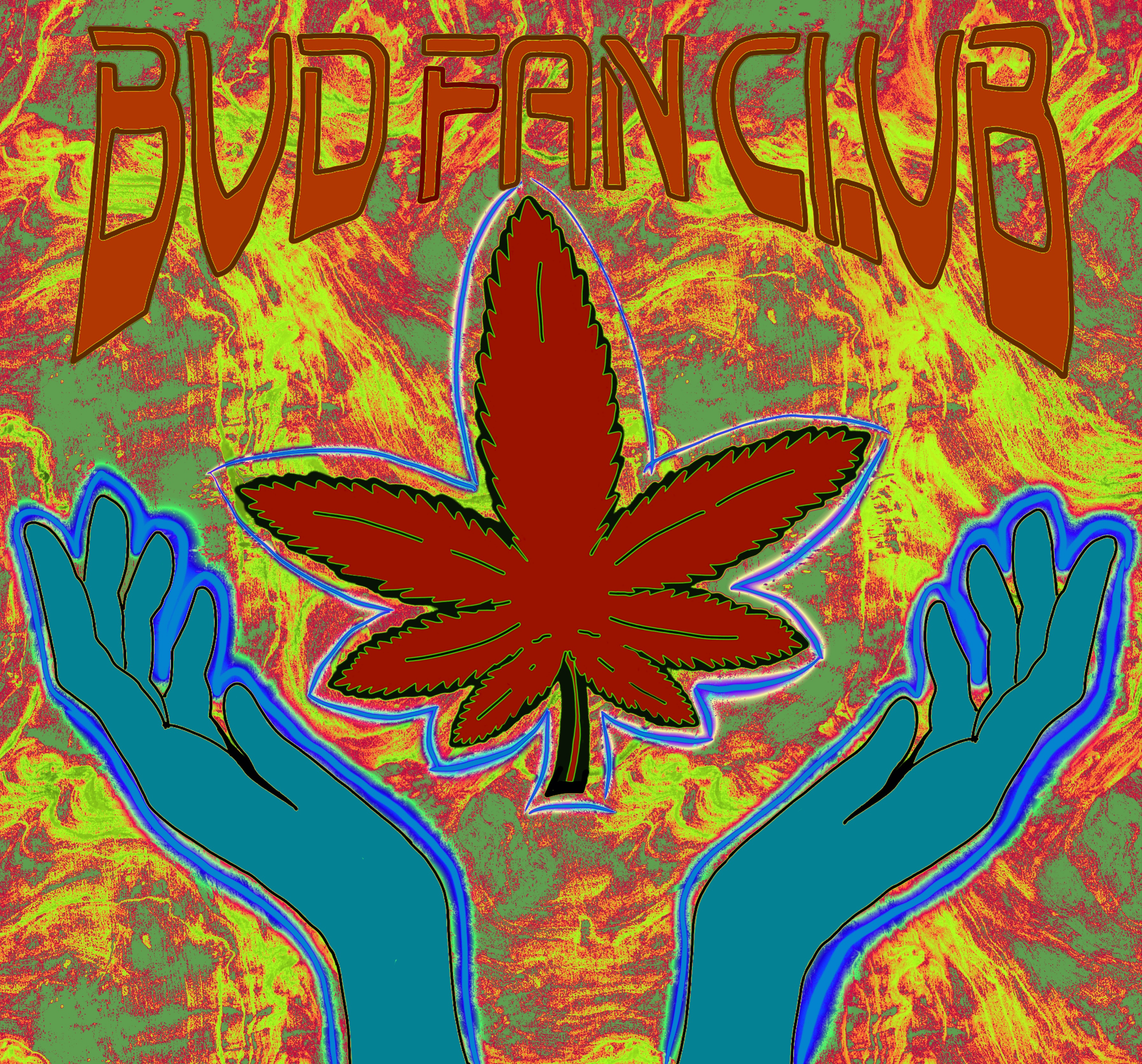 Bud Fan Club #29 NFT on Algorand