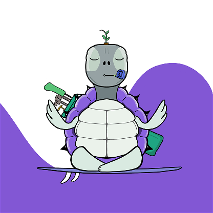 Zen Turtle 0082