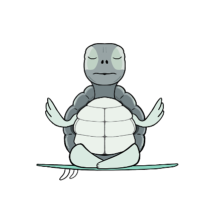 Zen Turtle 0001