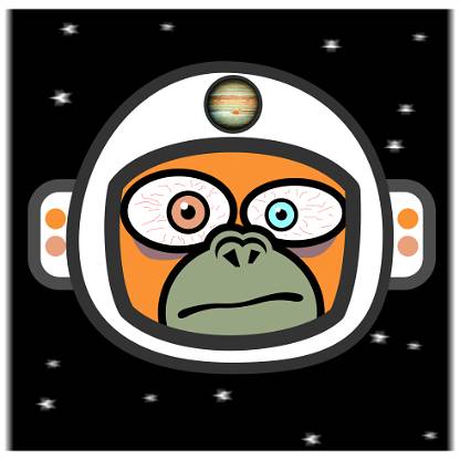 Special Space Monkey Jupiter