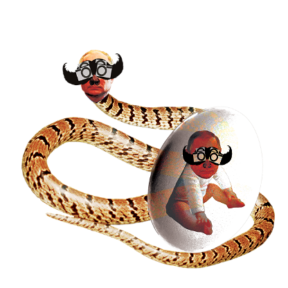 chuj snake birth