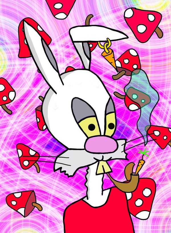 Image of JoeJoBabbit