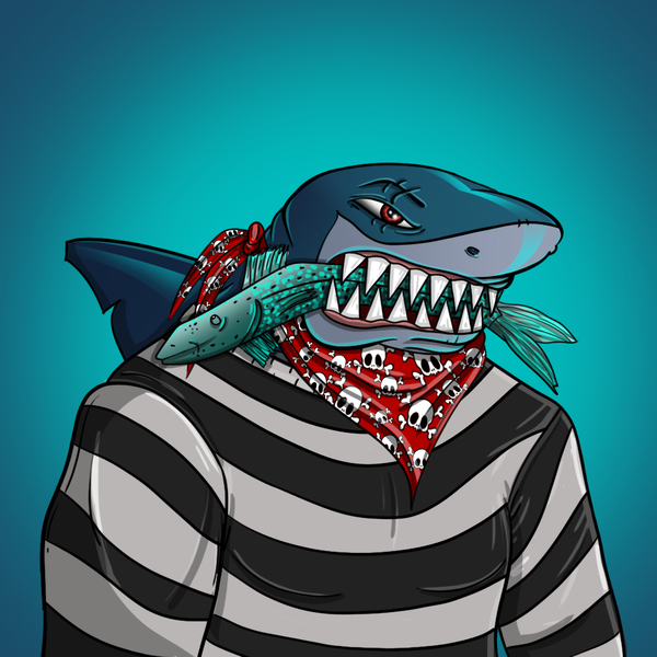 Image of AlgoShark #39